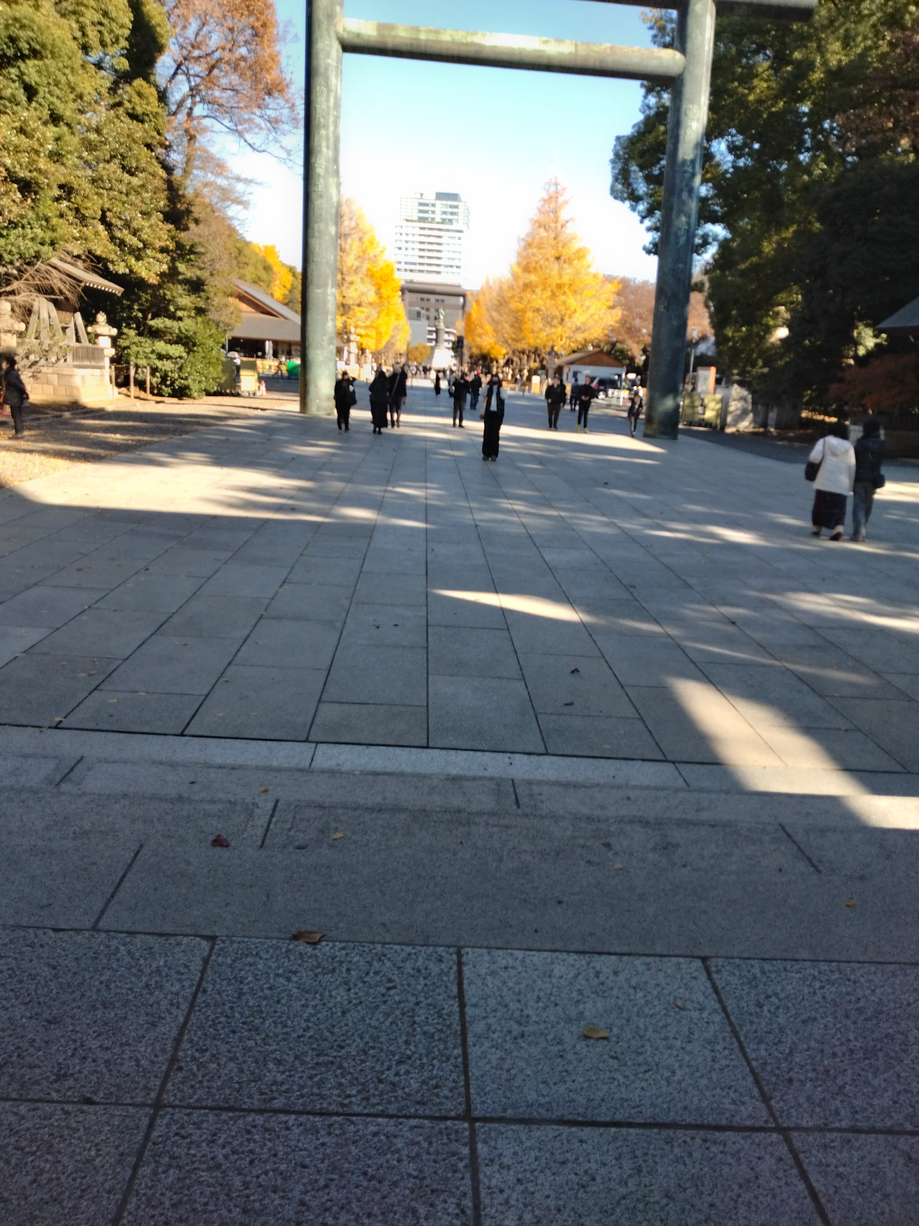 直線的な道路が遠くまで続く景観です。