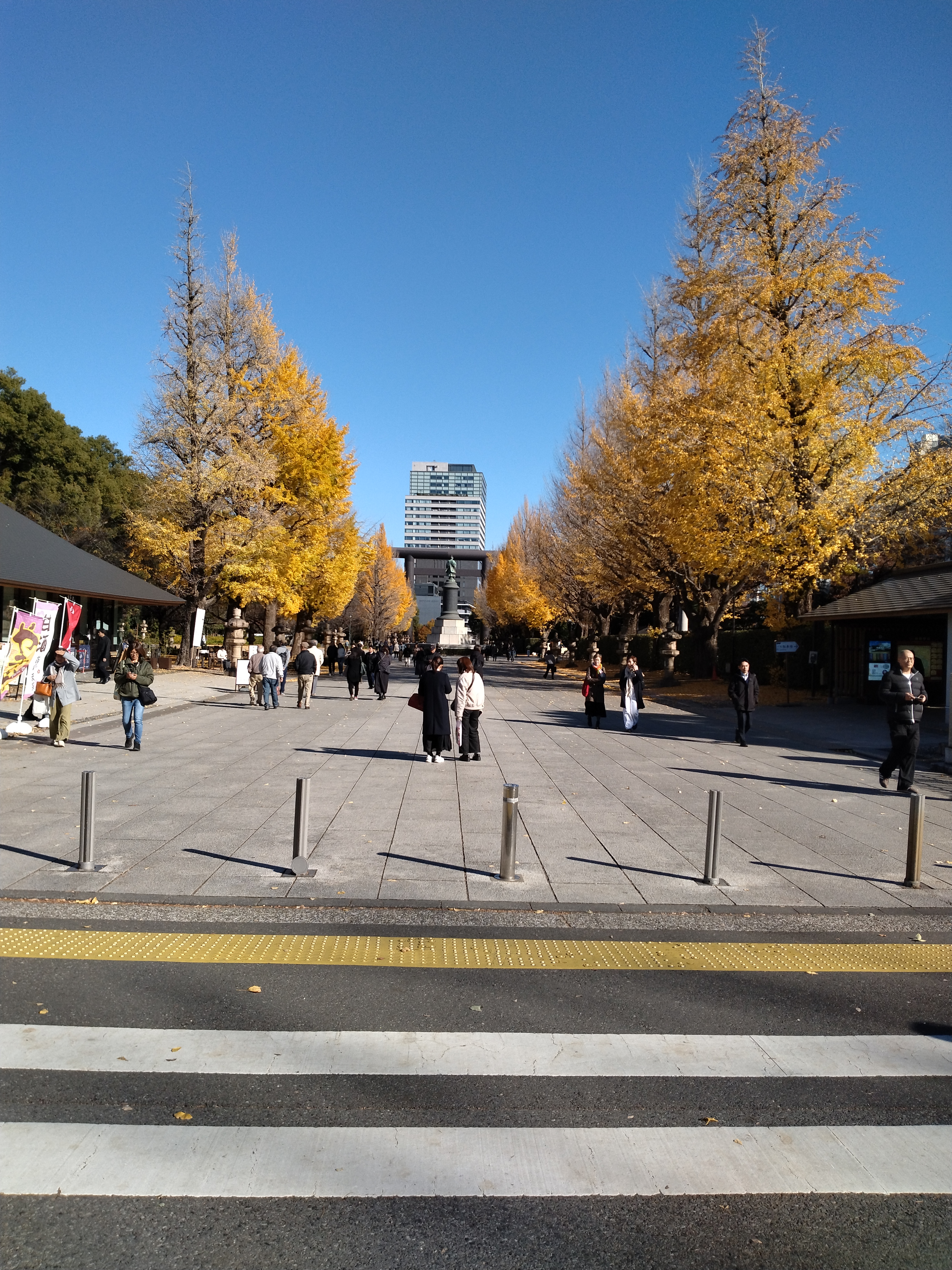 整備された広い歩道です。