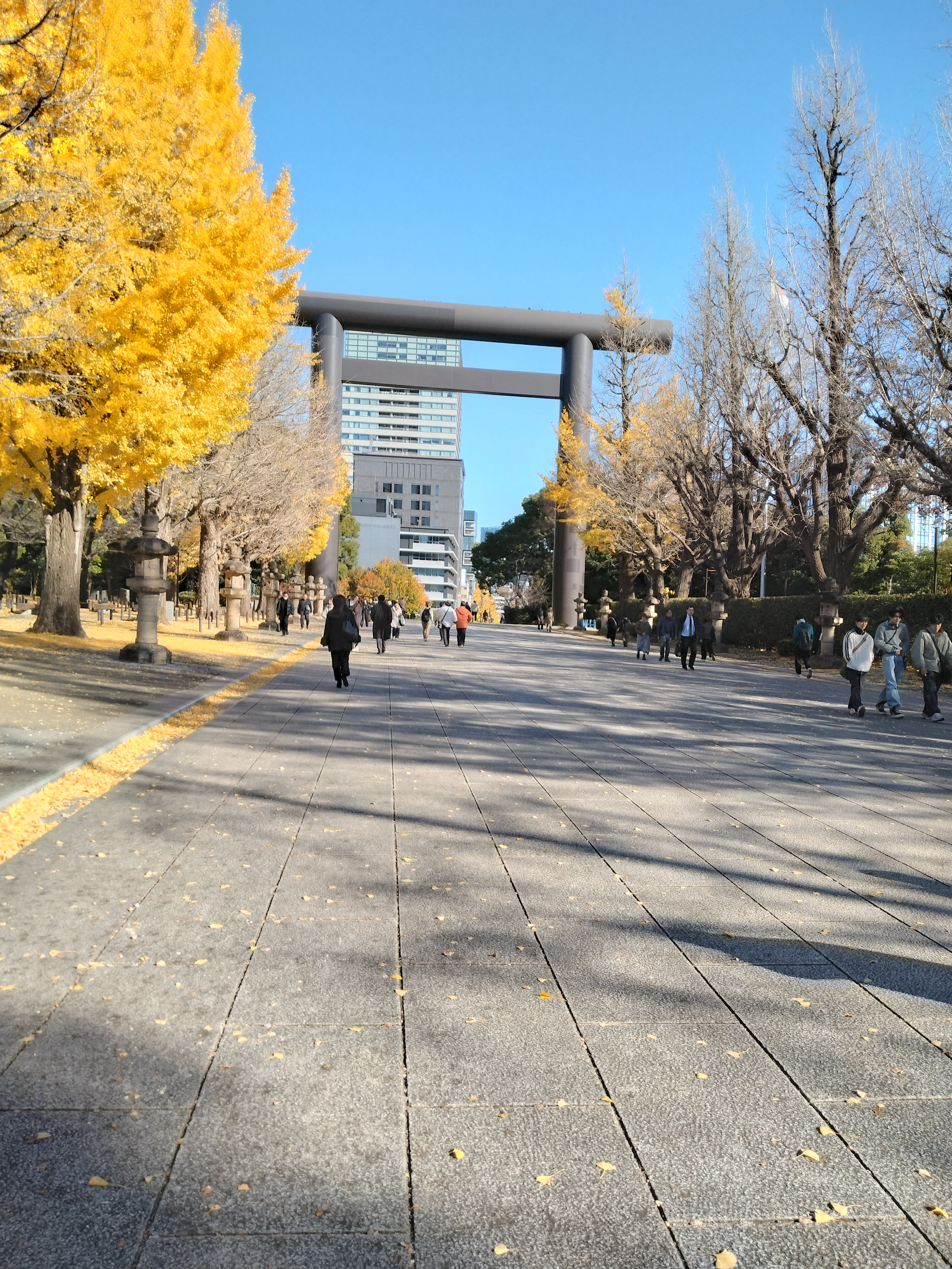 街中の交差点付近が写っています。