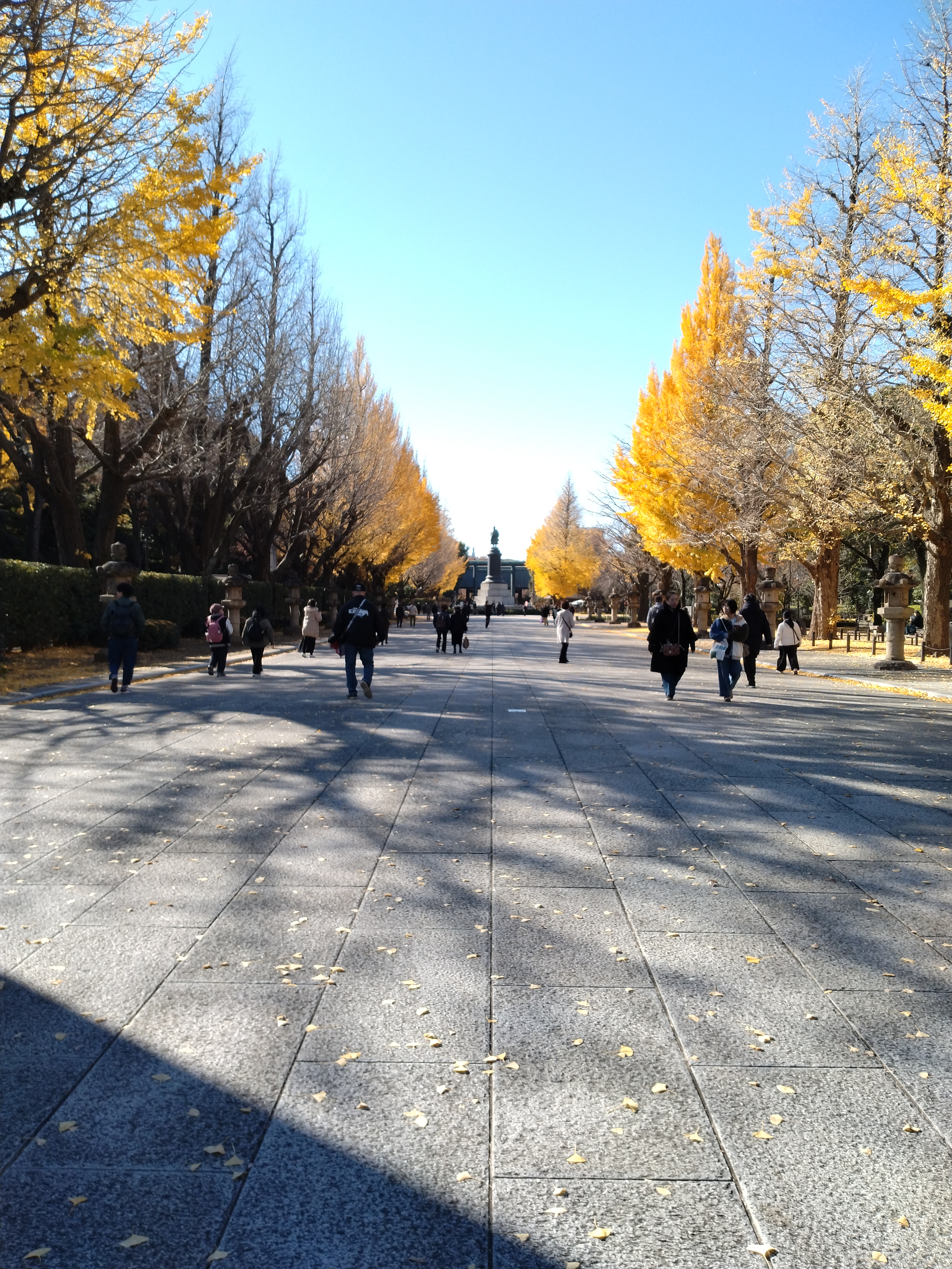 木々が続く歩道の景色です。