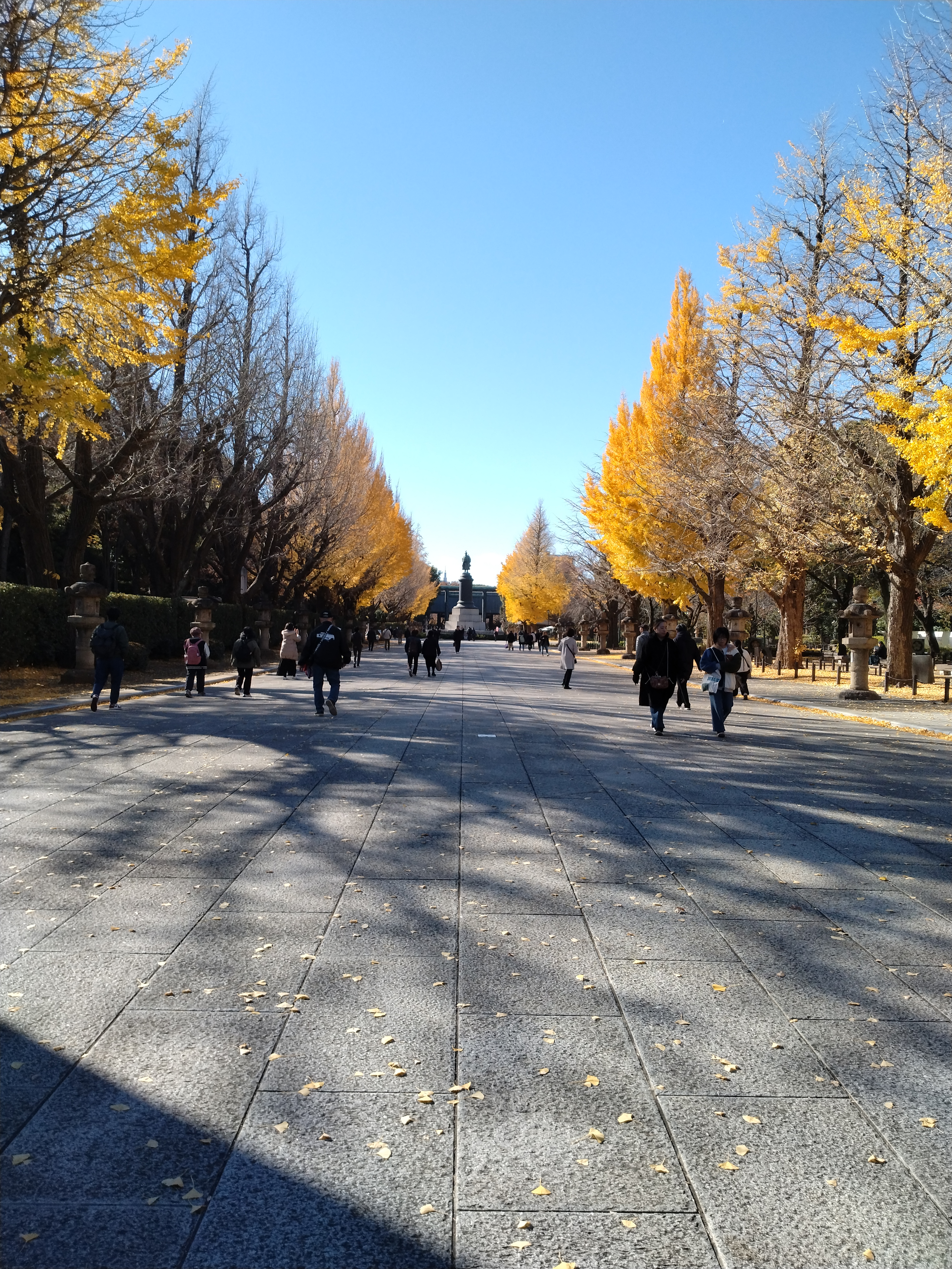 木々が色づいた並木道です。