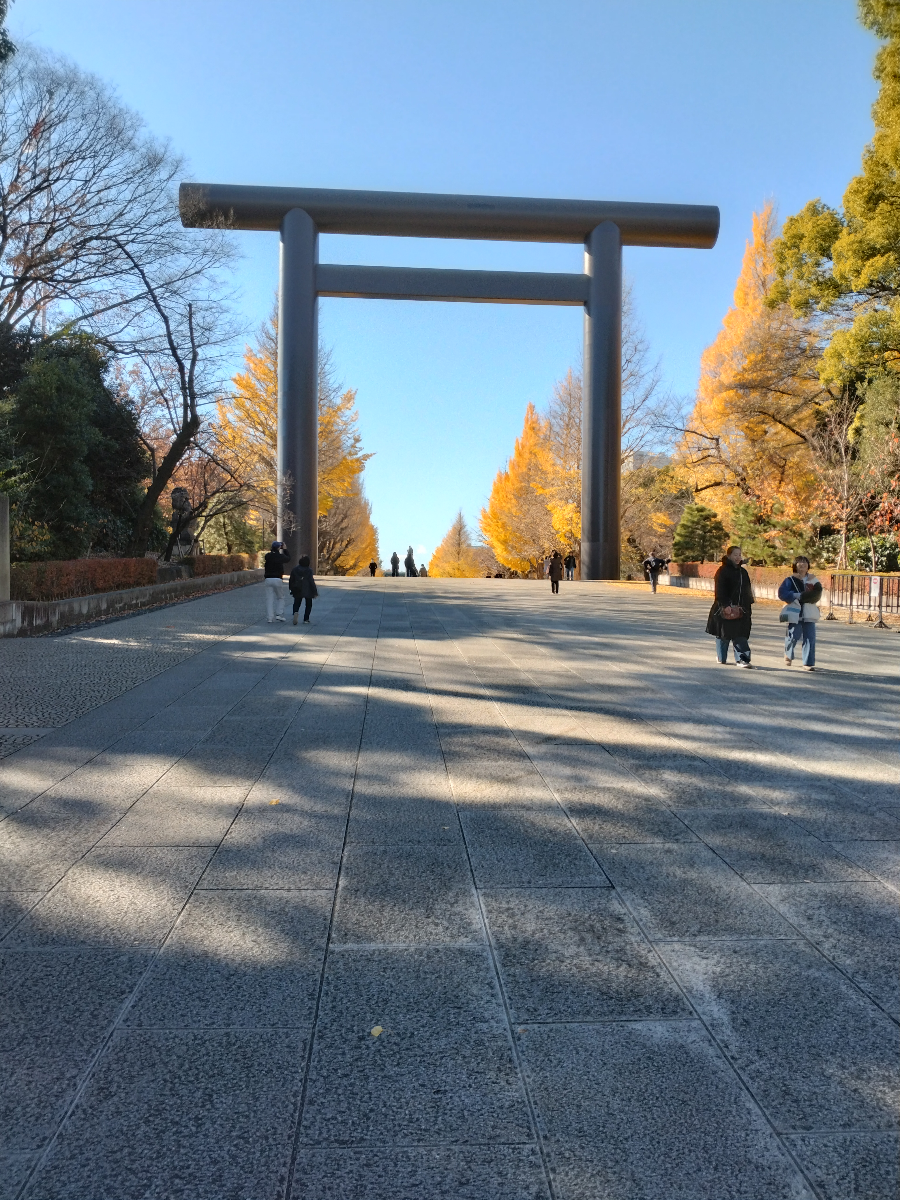 都市の広場と秋の木々です。