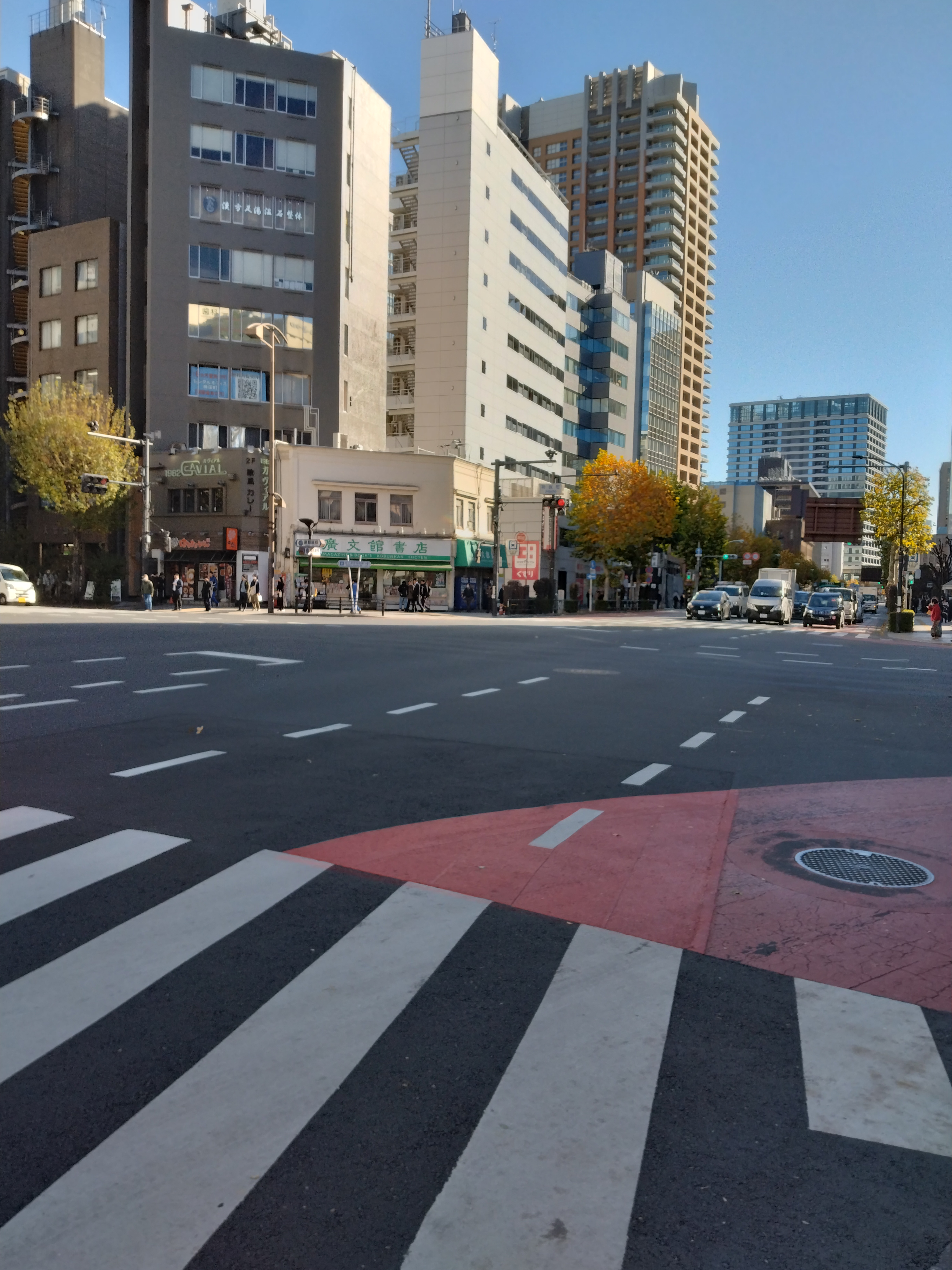人通りが多い商店街の様子です。