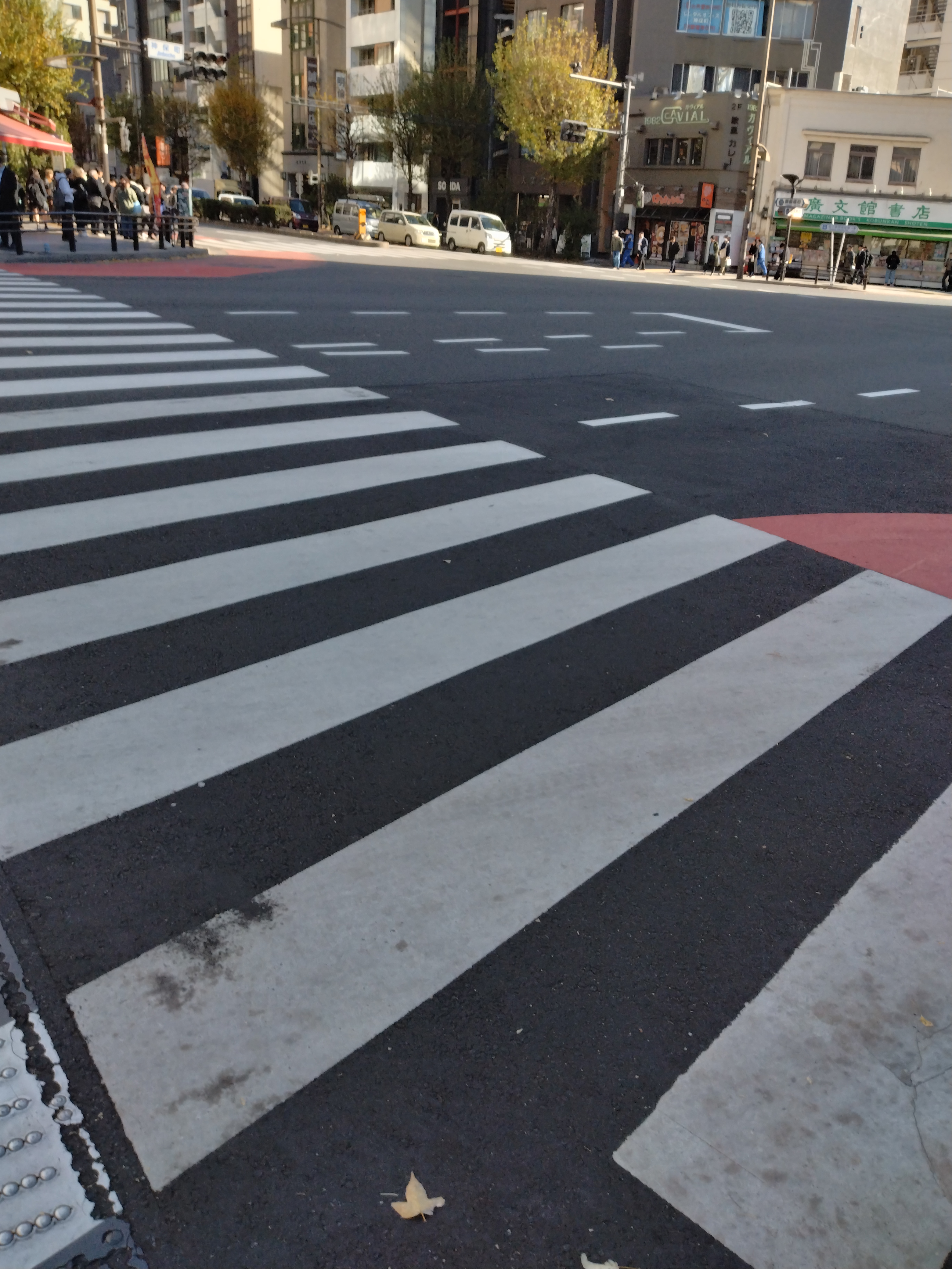 歩行者が多い繁華街の通りです。