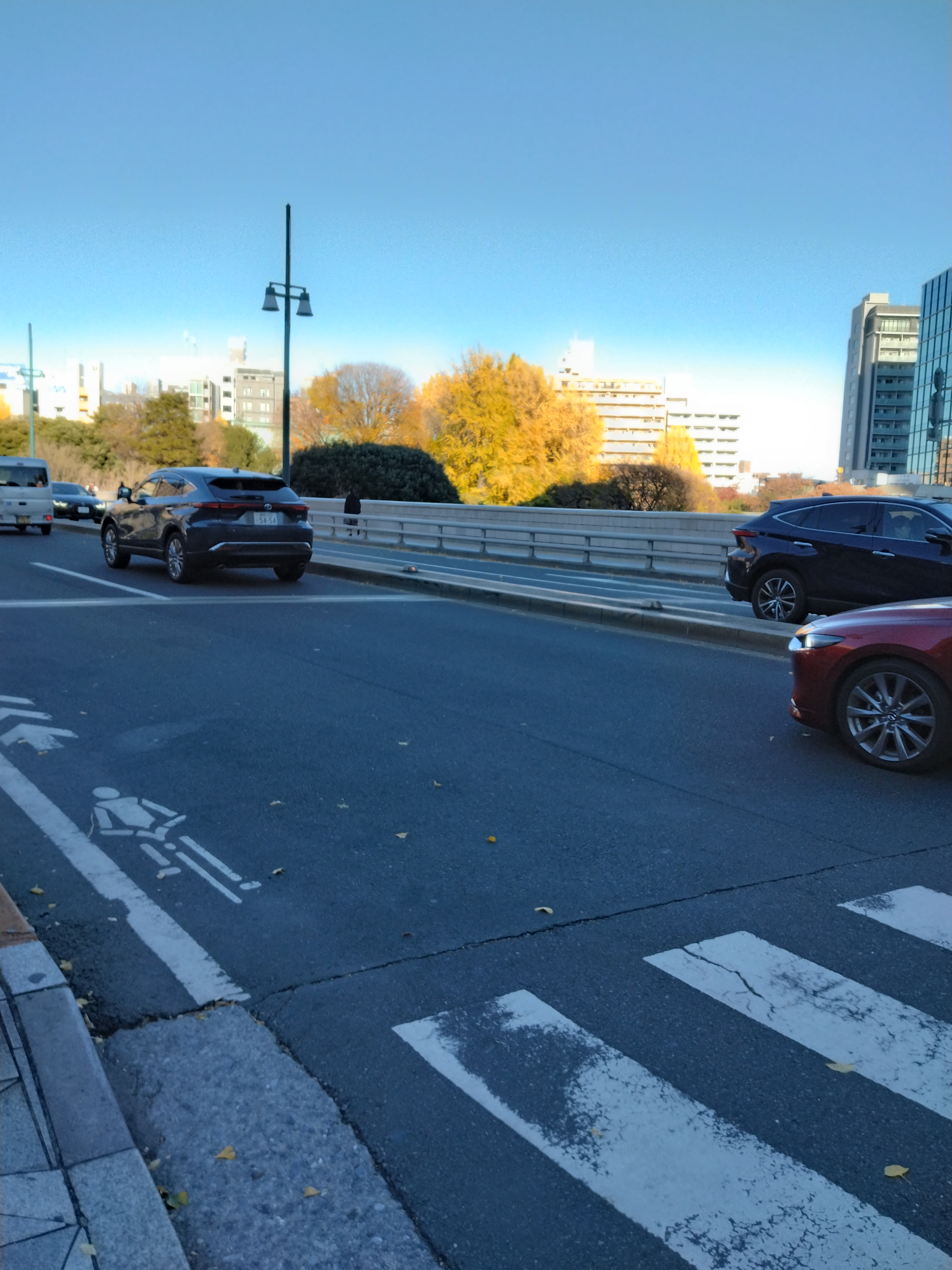 住宅地の坂道が写っています。