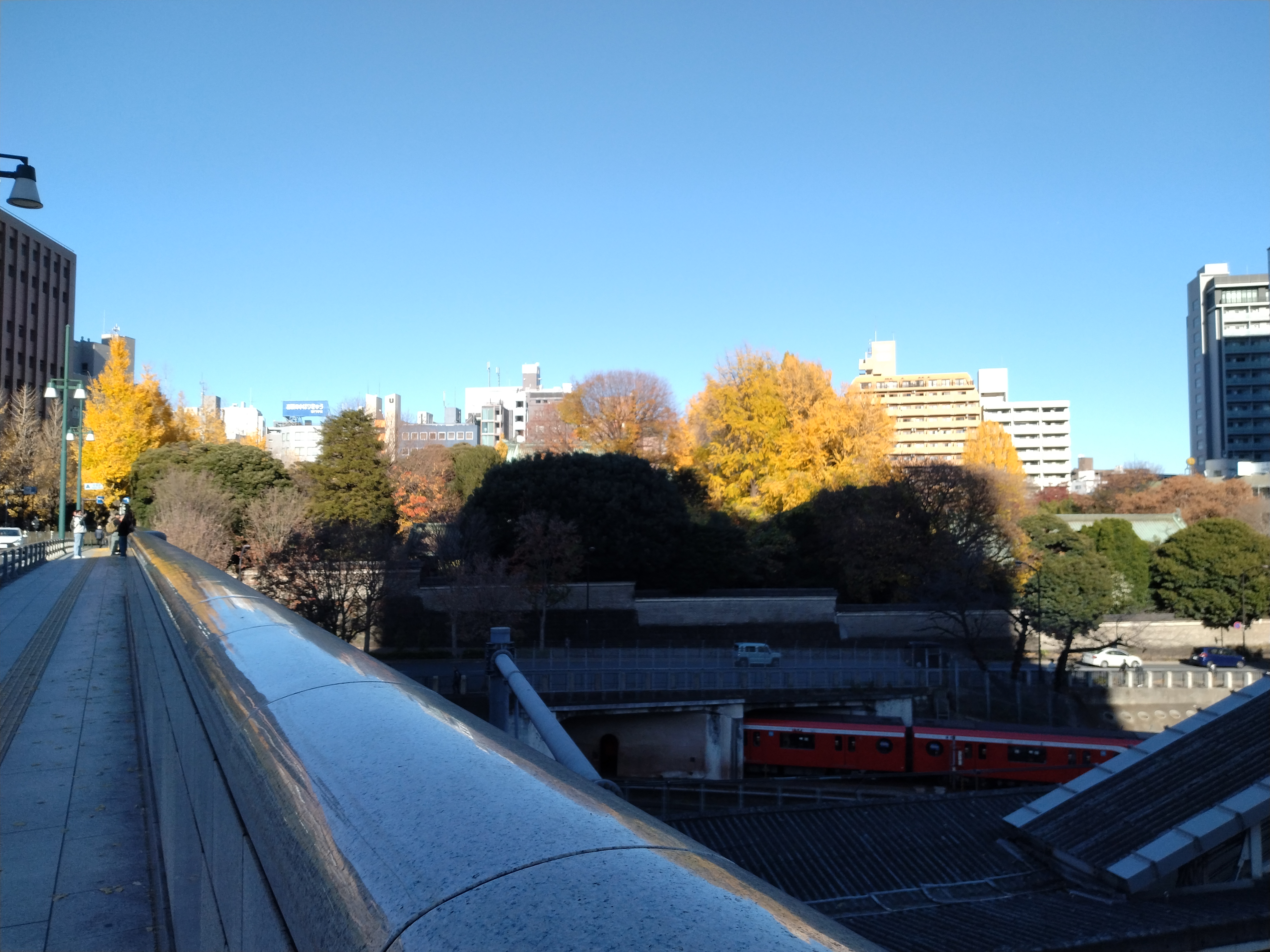 紅葉が美しい公園風景です。