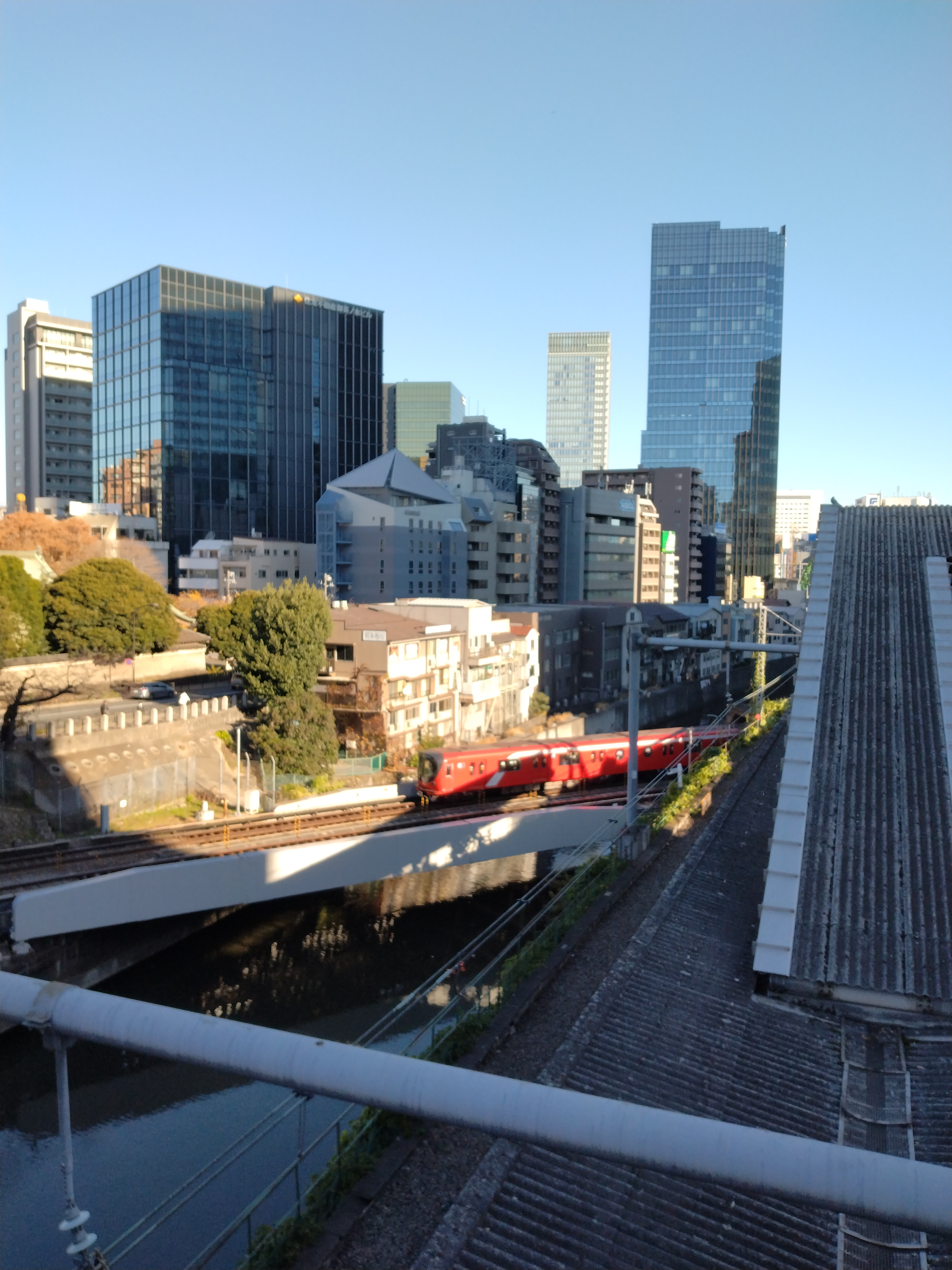 開けた場所と大きな木々が写っています。