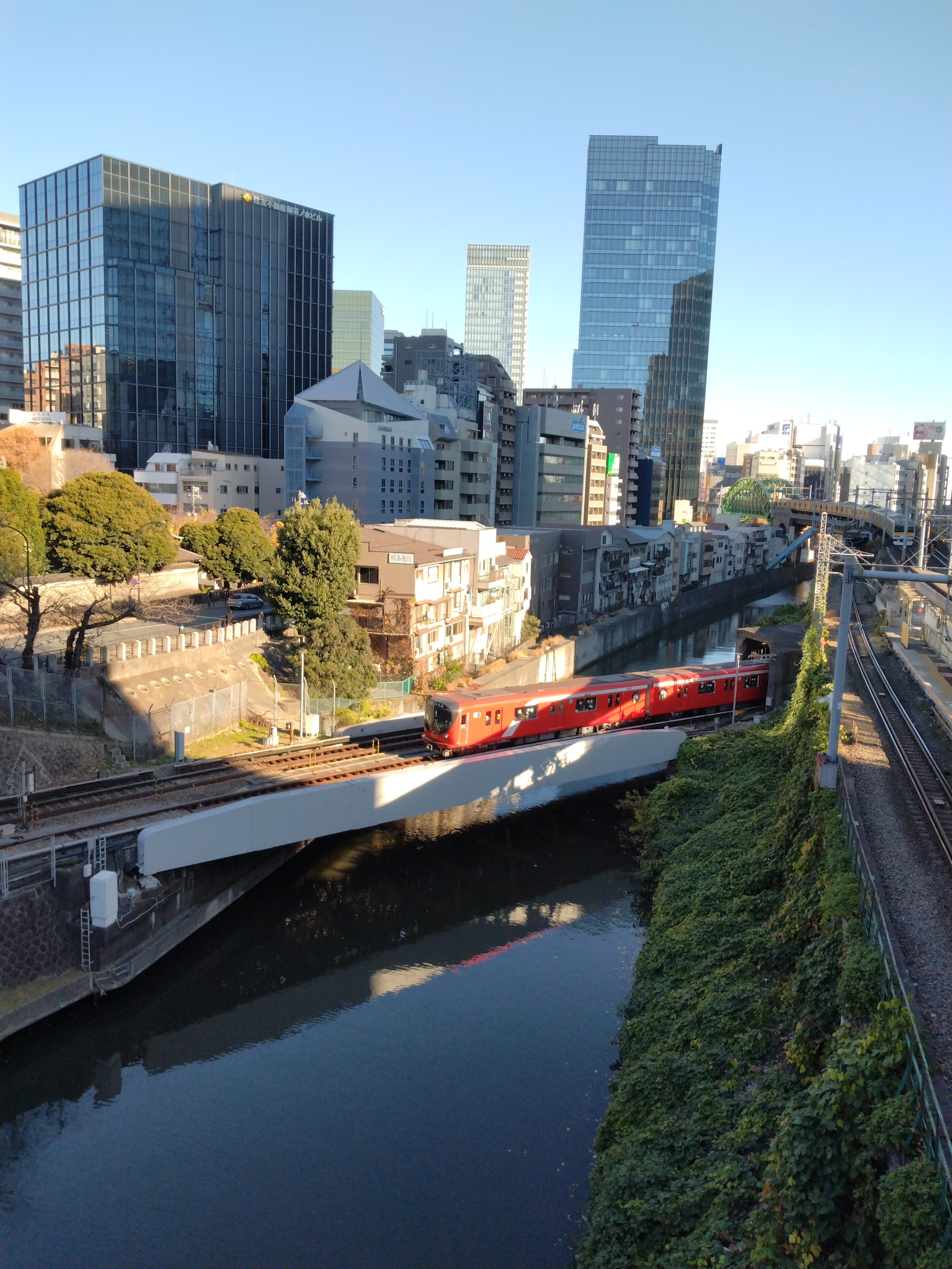 黄金色の銀杏が並ぶ歩道です。