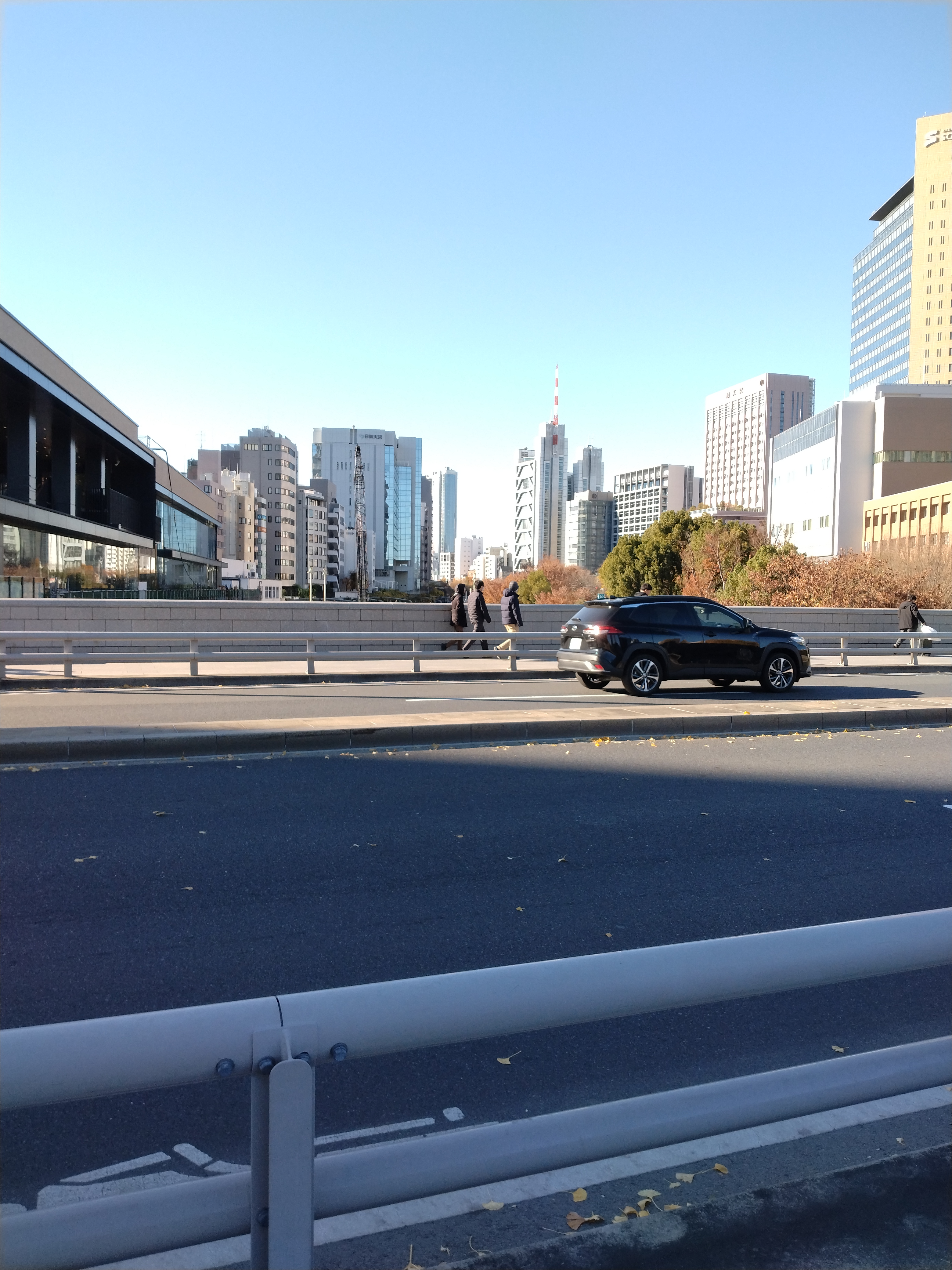 広場周辺の紅葉が写っています。