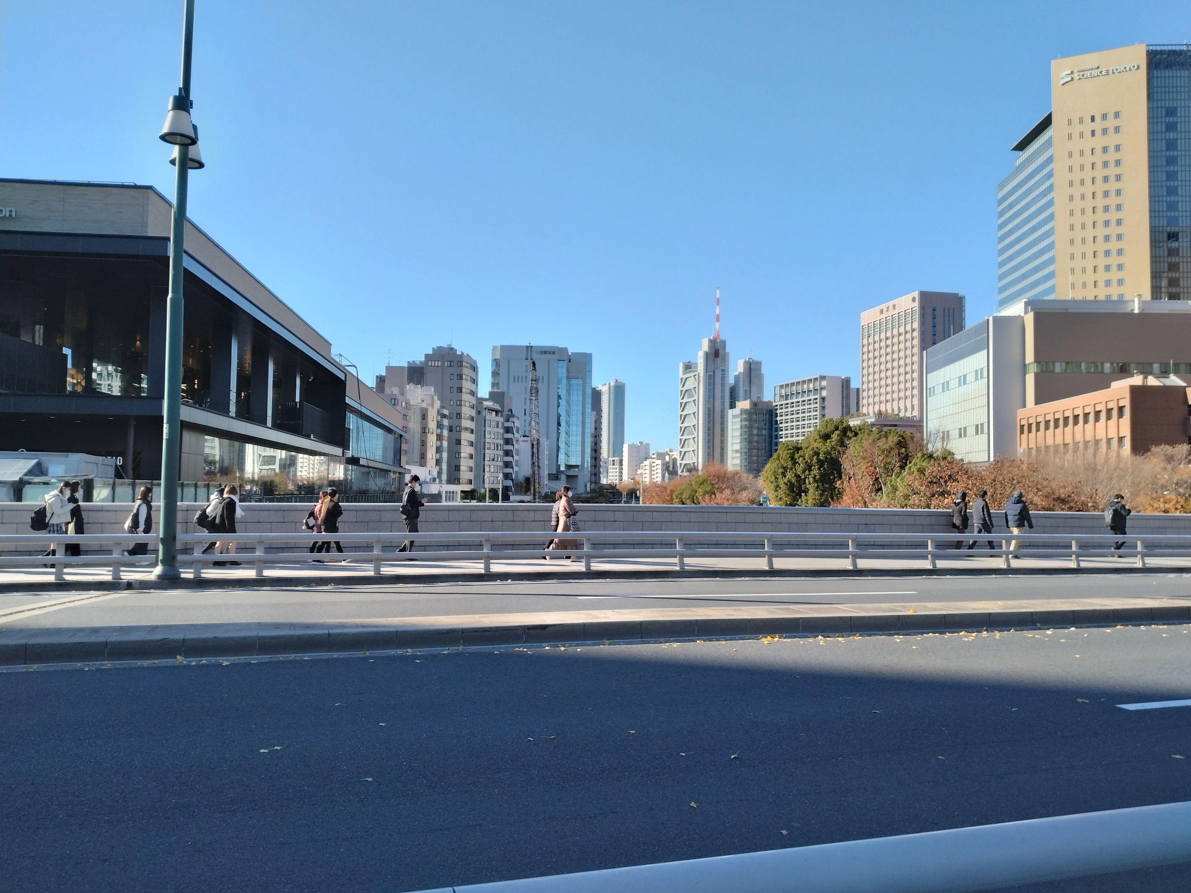 銀杏が色づく歩道です。