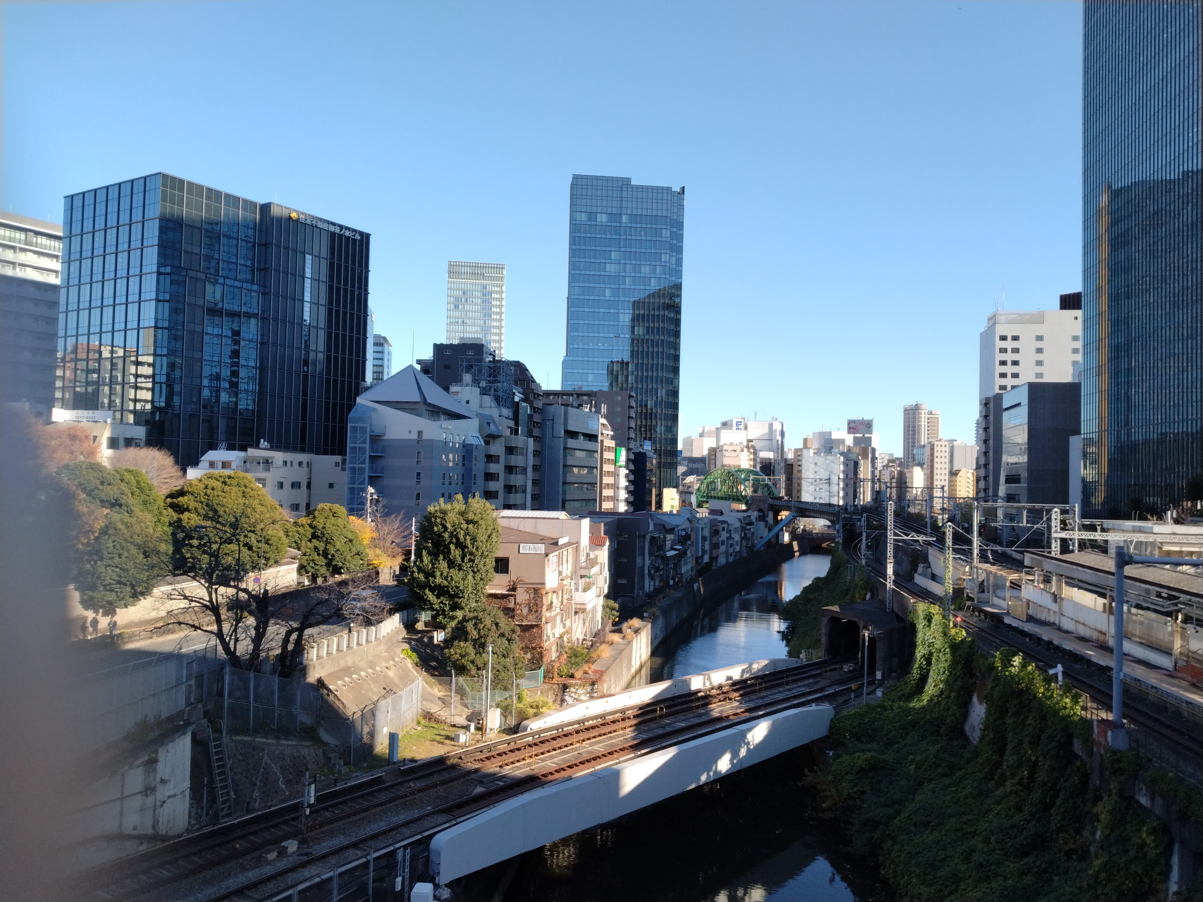 広場と木々が写る公園風景です。