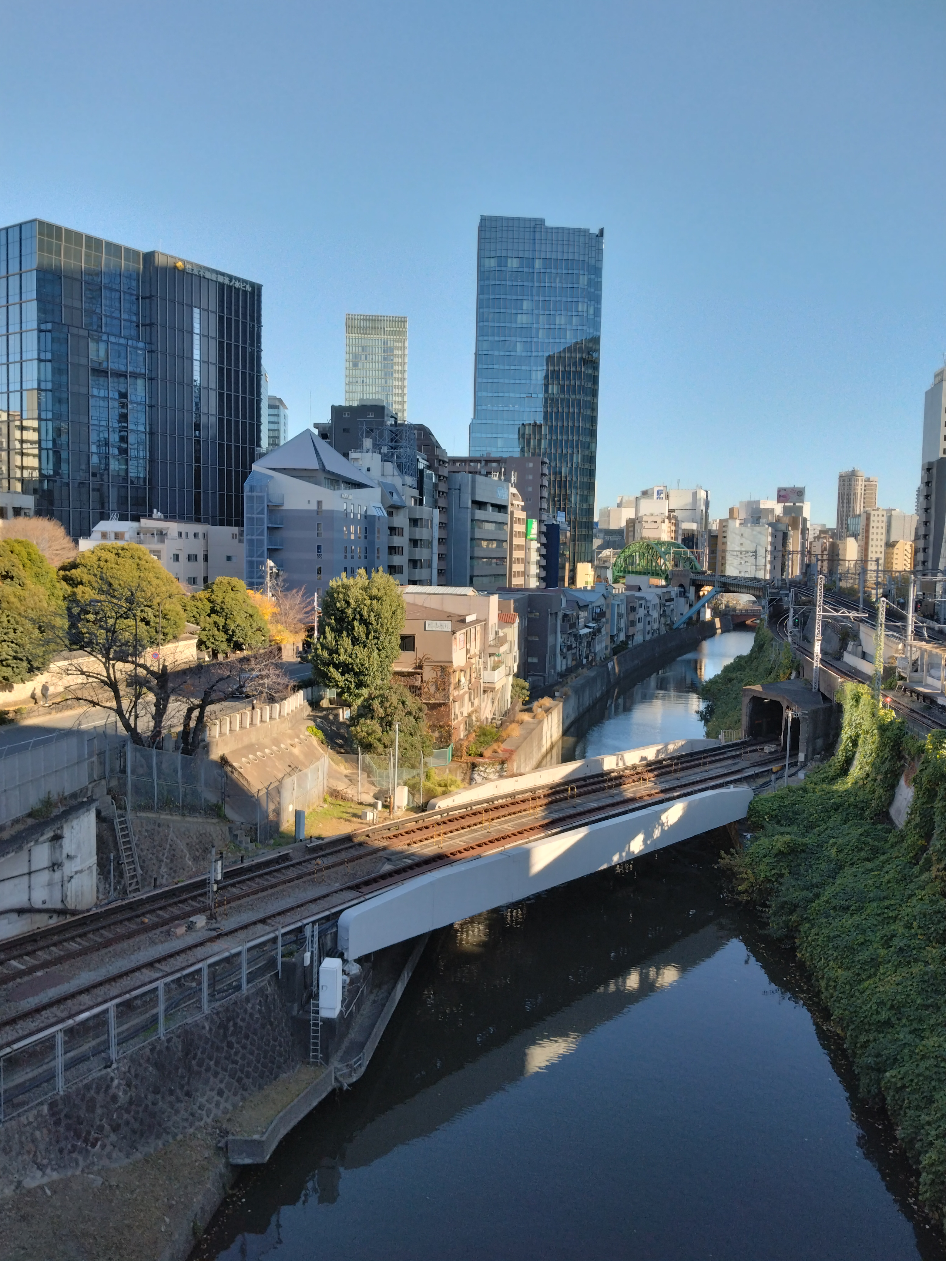 公園内のカーブした遊歩道です。