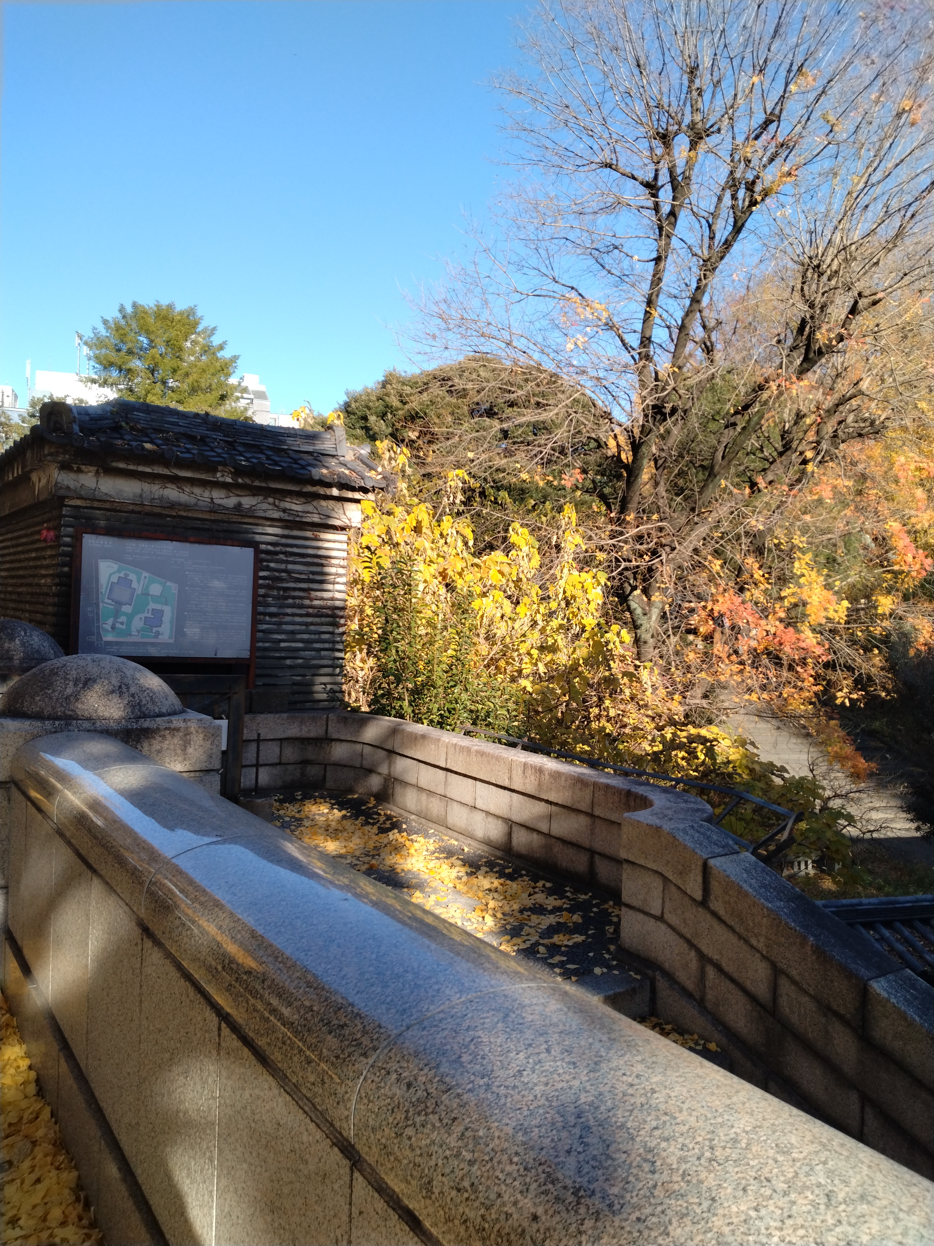 水辺に面した広場の写真です。