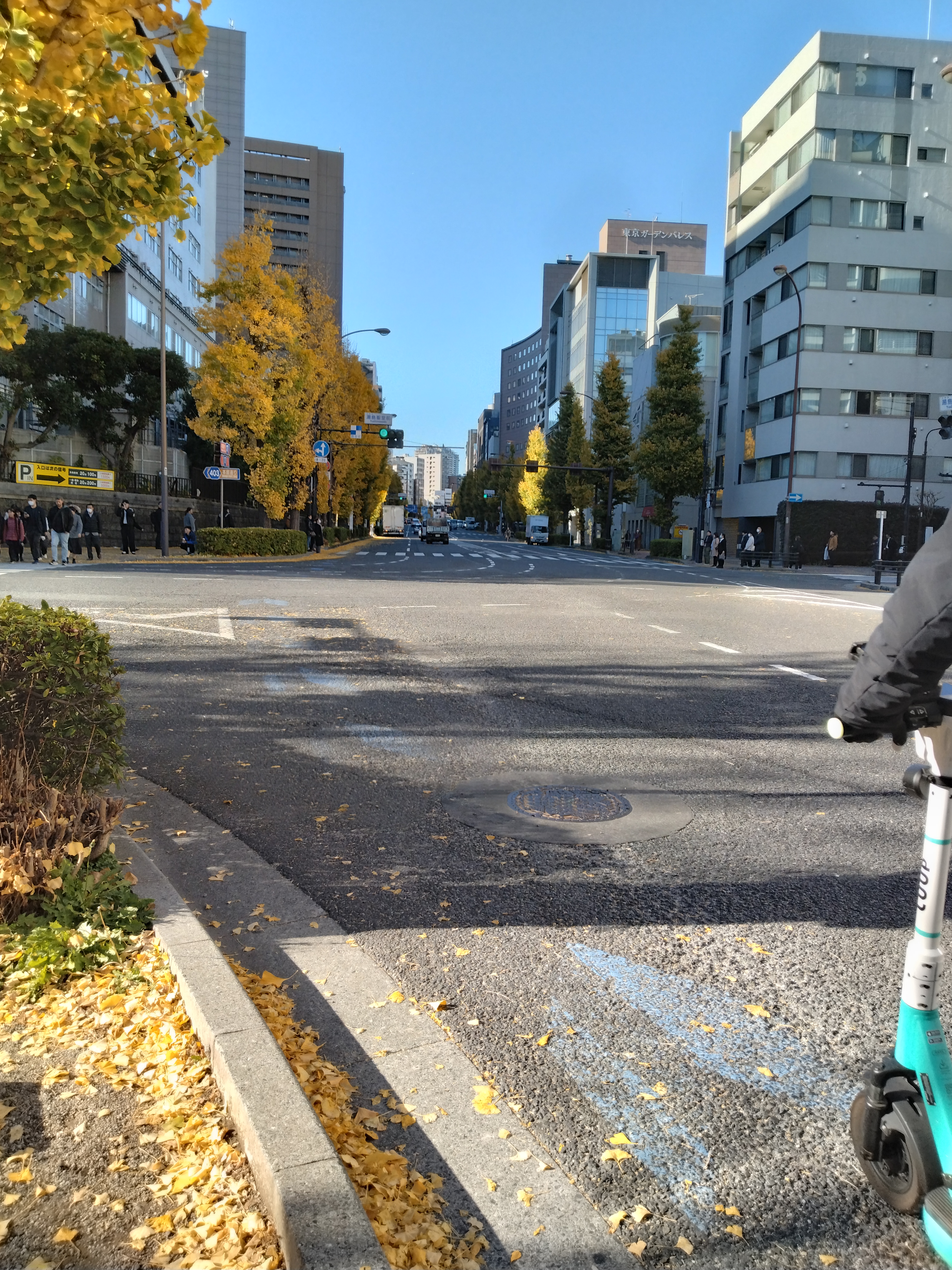 ベンチが設置された静かな遊歩道です。