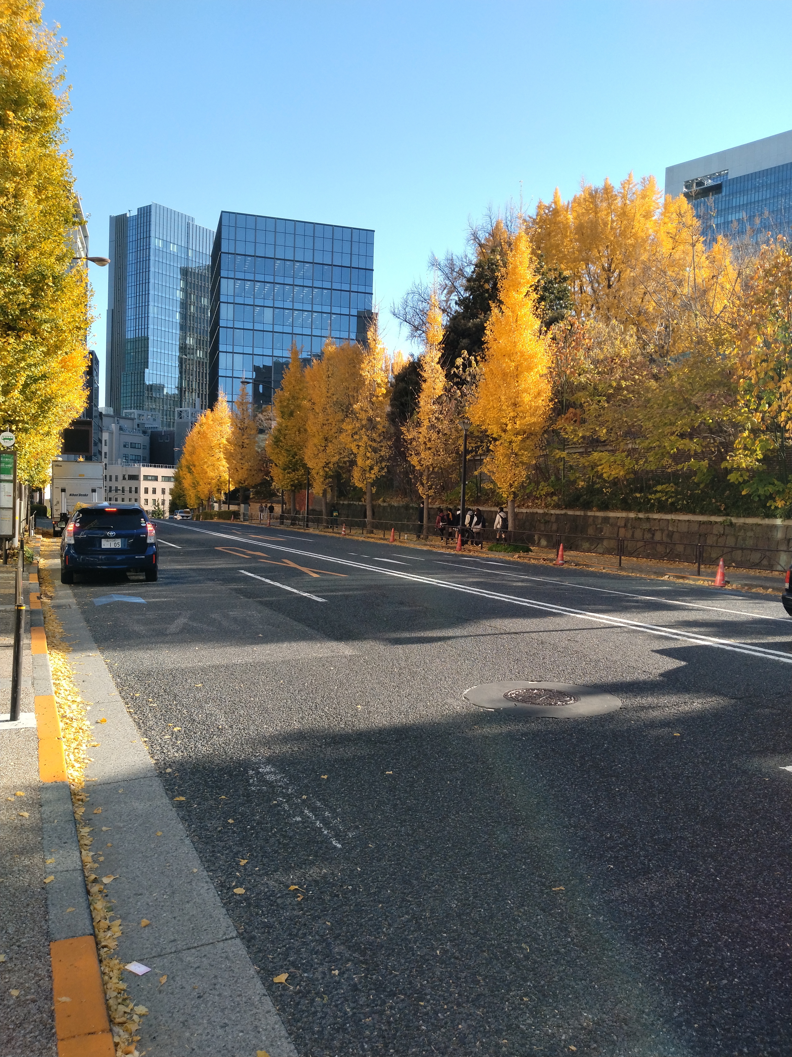 橋と木々が調和する景観です。