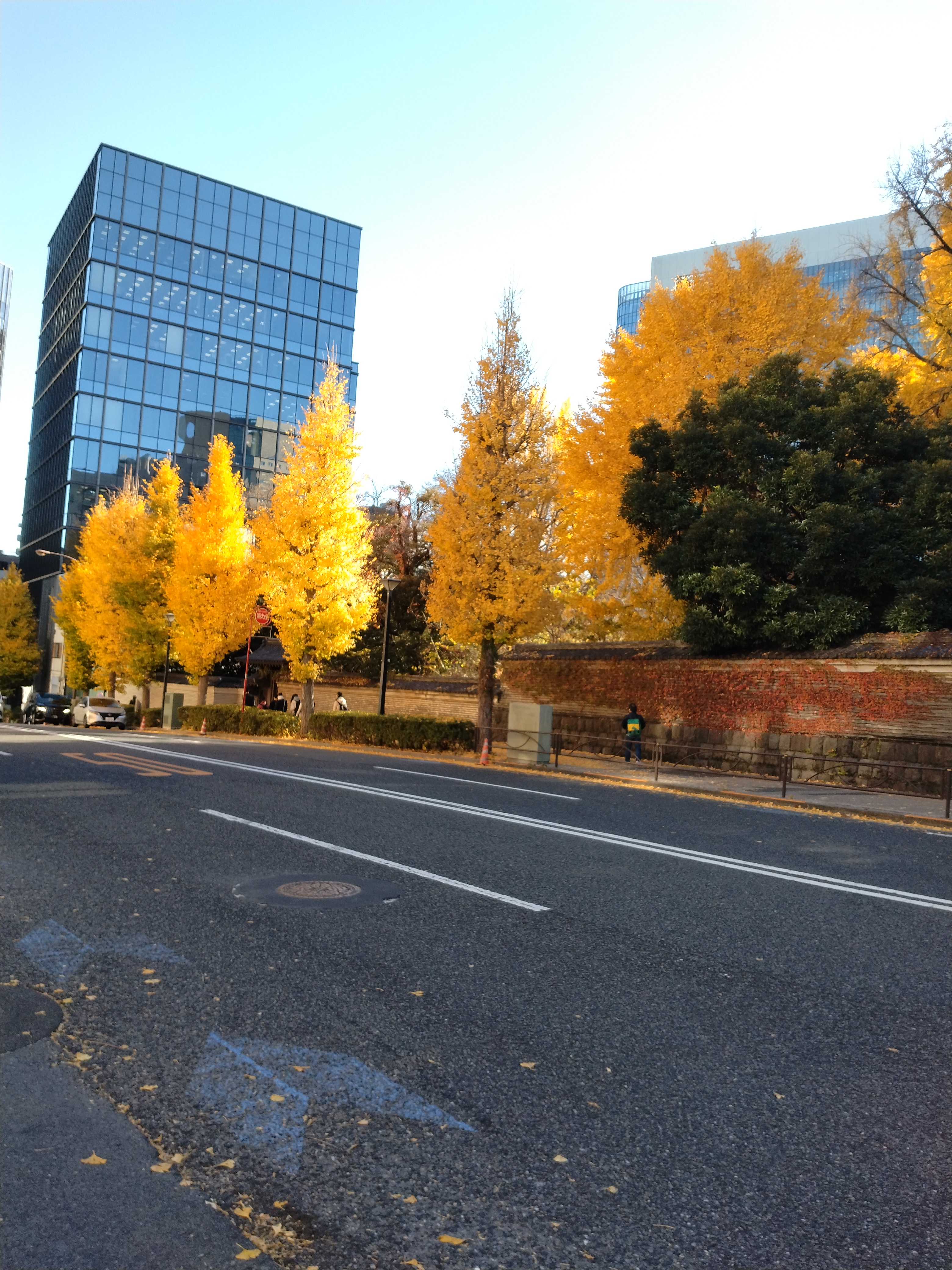 木々に囲まれた並木道入口の写真です。