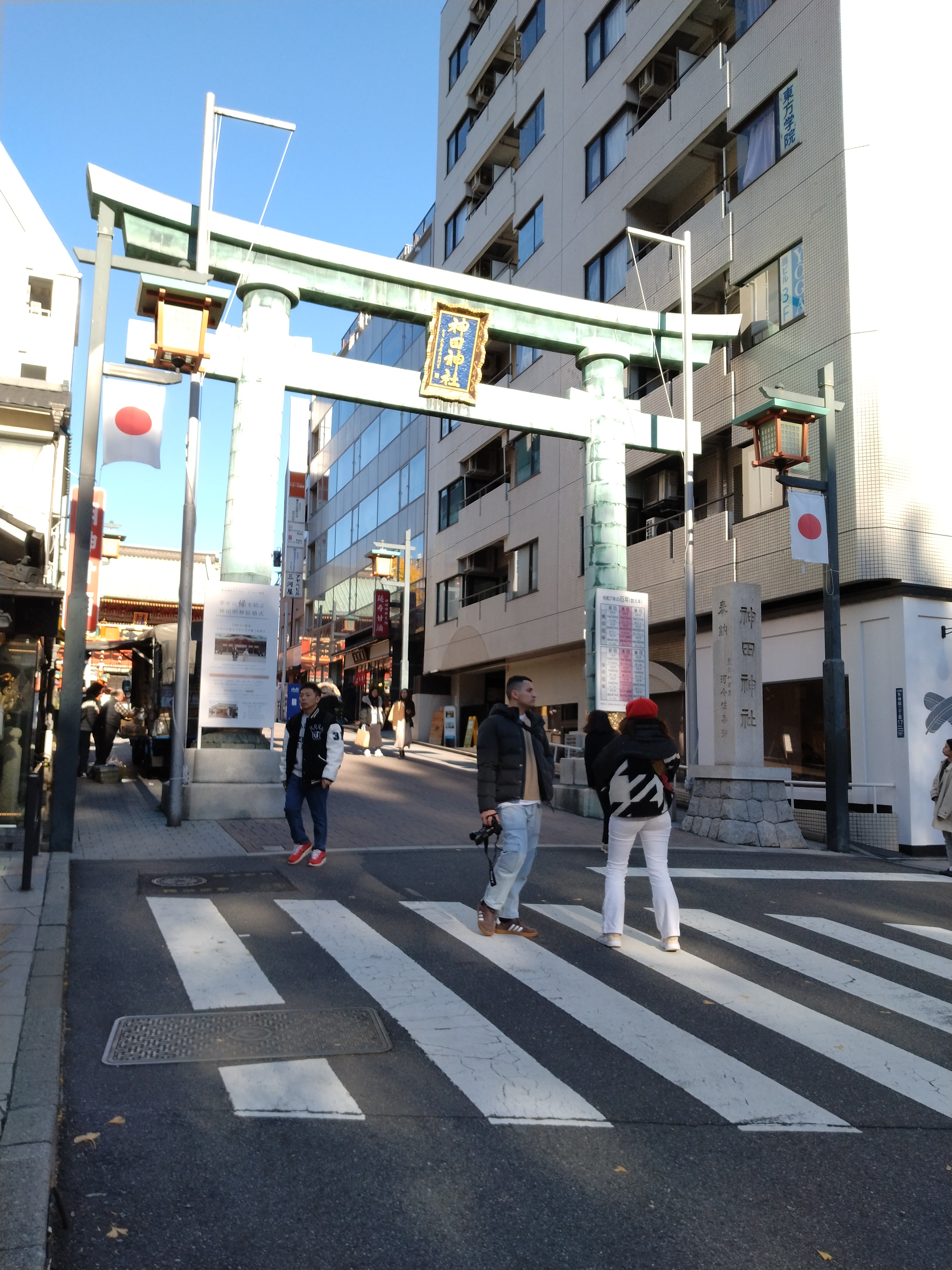 鮮やかに色づいた木々が並ぶ公園路です。