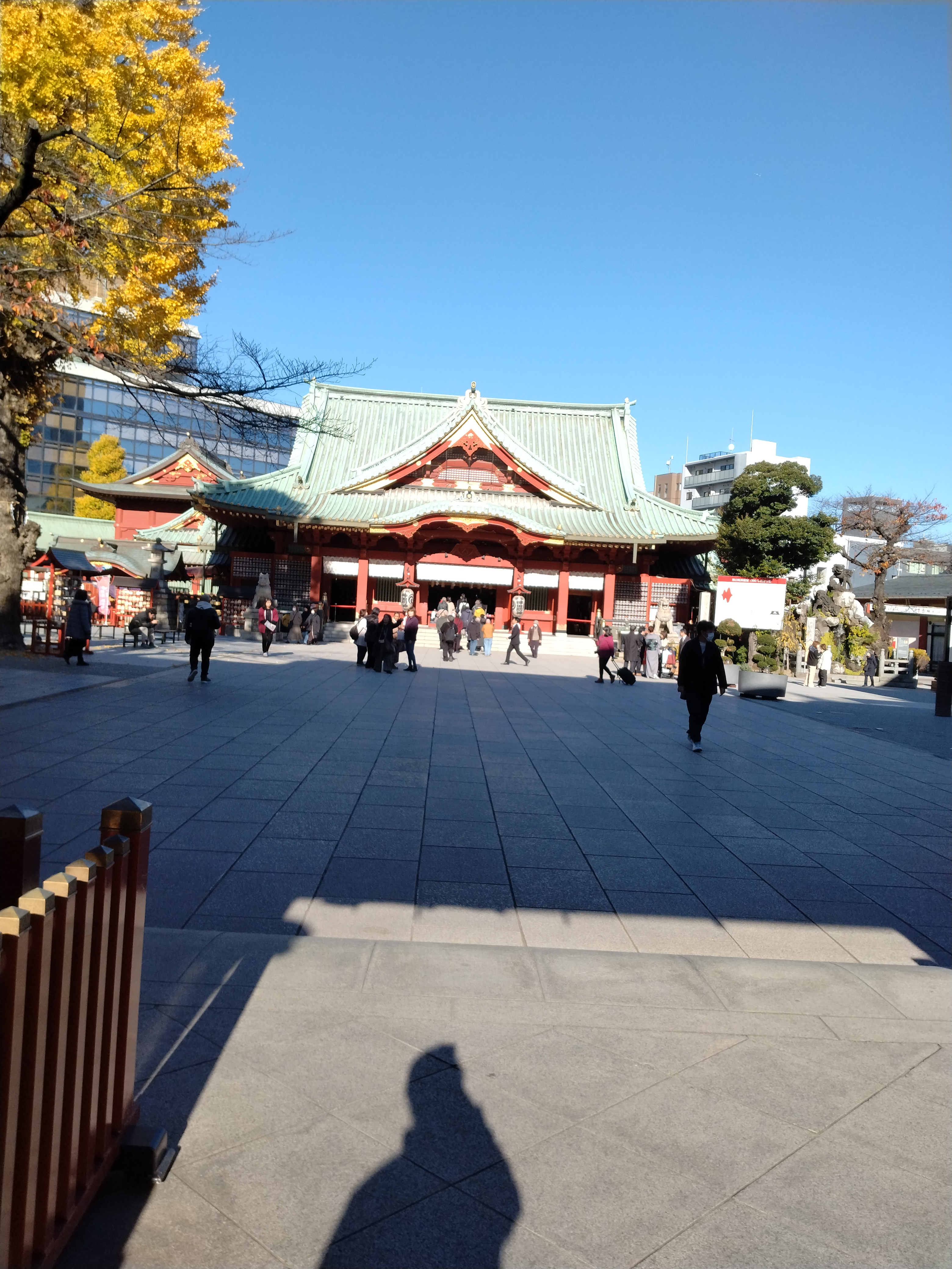 公園から住宅街方向を見た景色です。