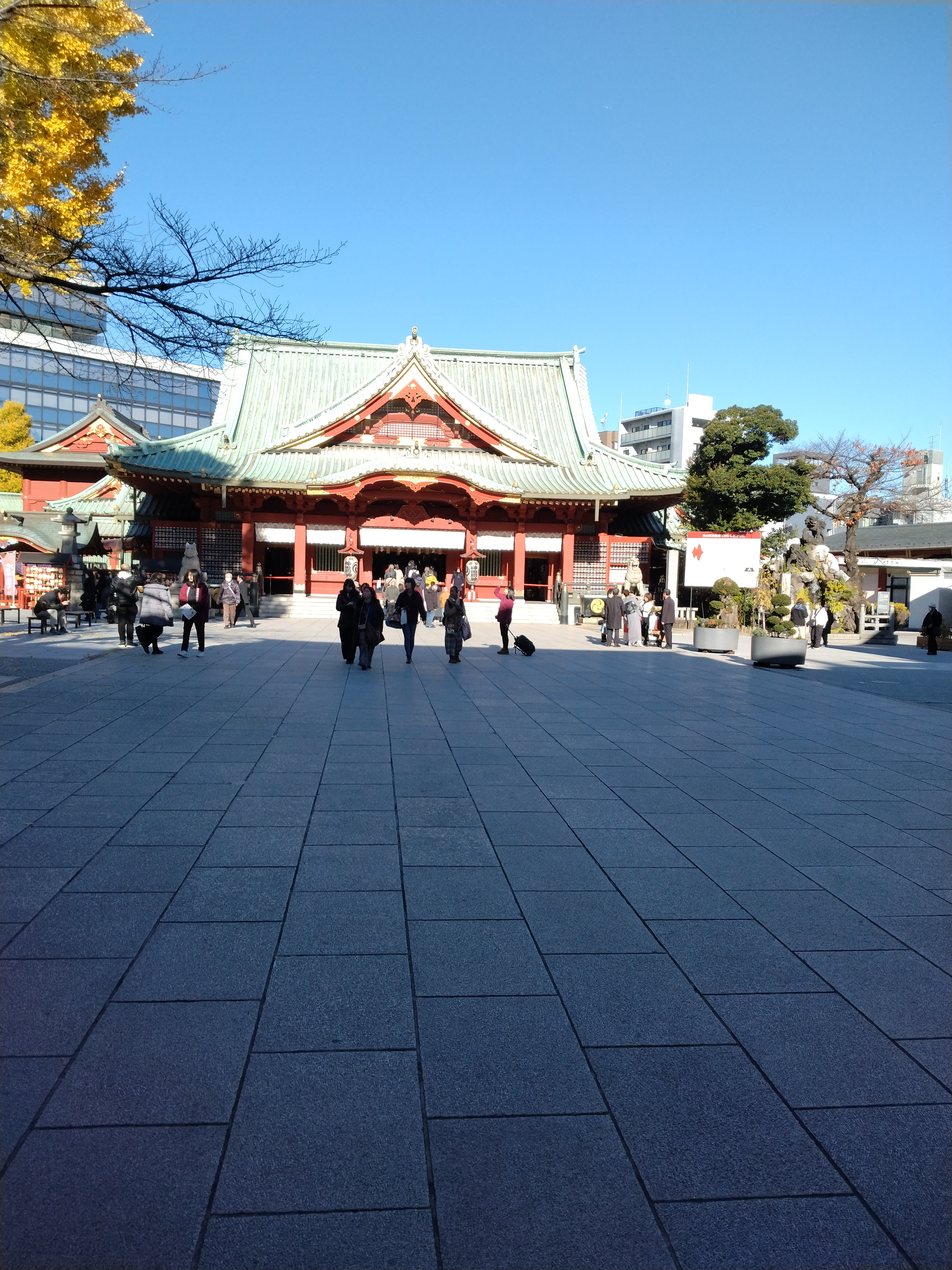 木々に囲まれた遊歩道の写真です。