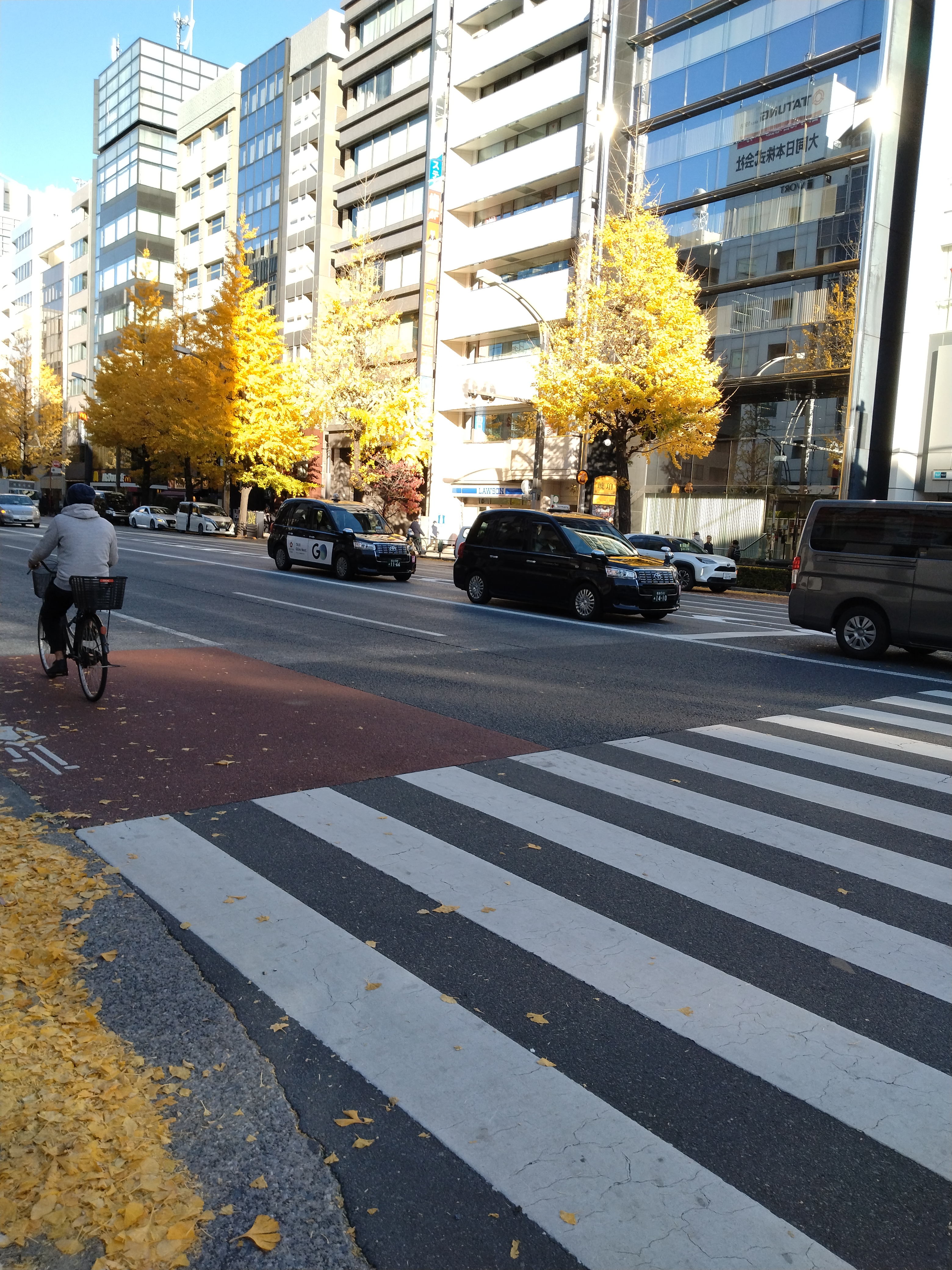 広い歩道が整備された街並みです。