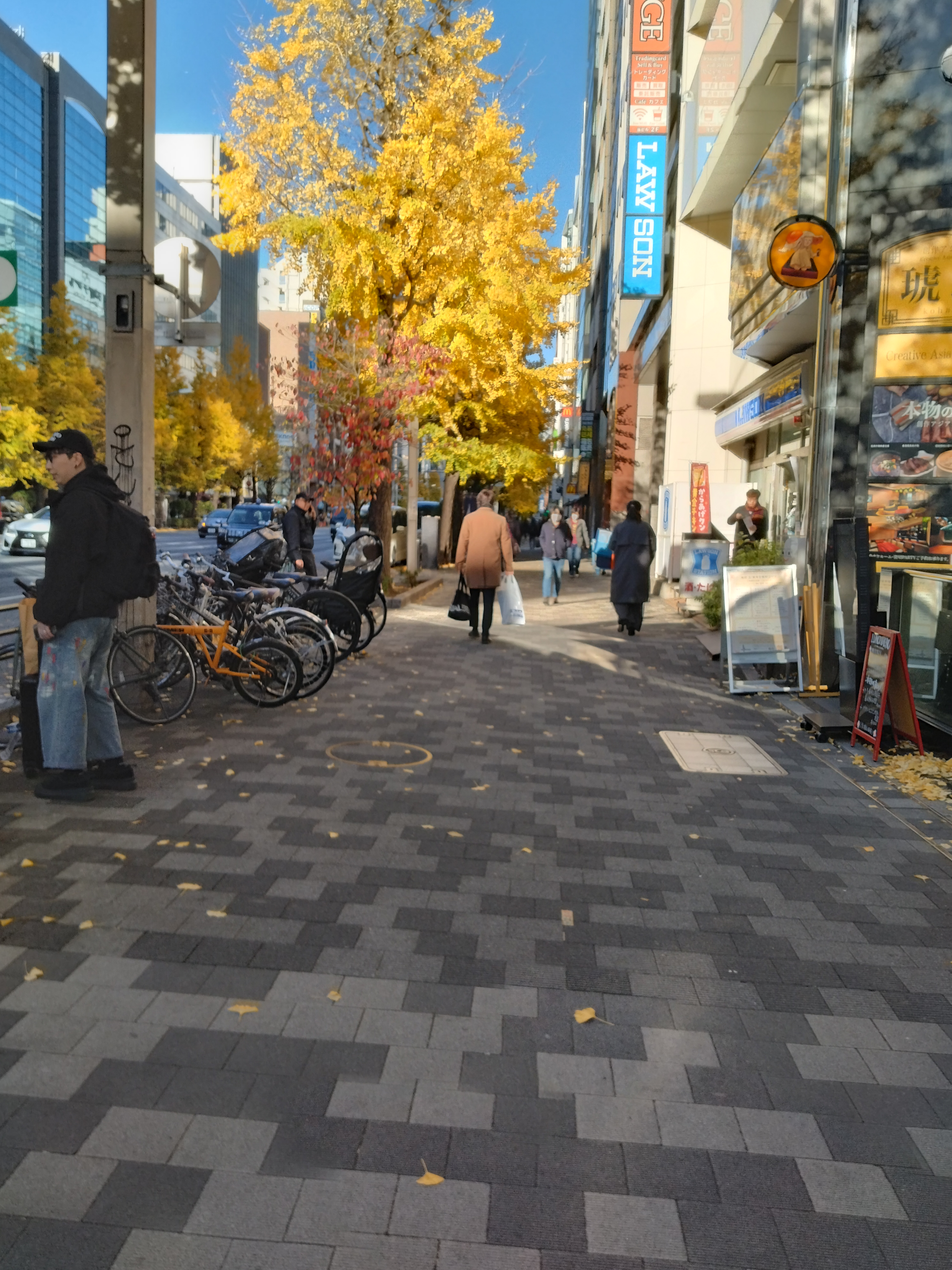 オープンスペースのある広場です。