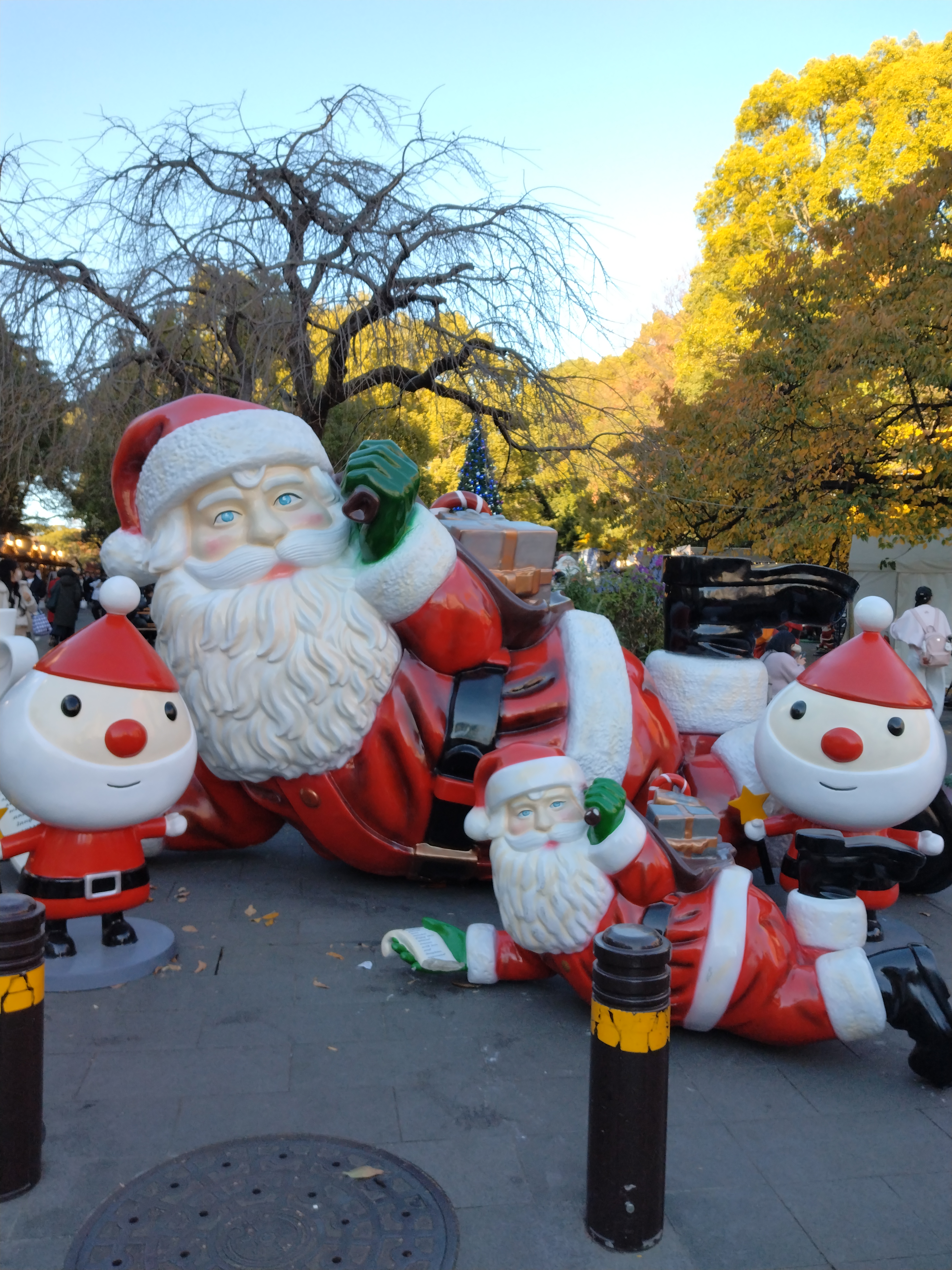 鳥居と黄色い銀杏が並ぶ美しい景観です。