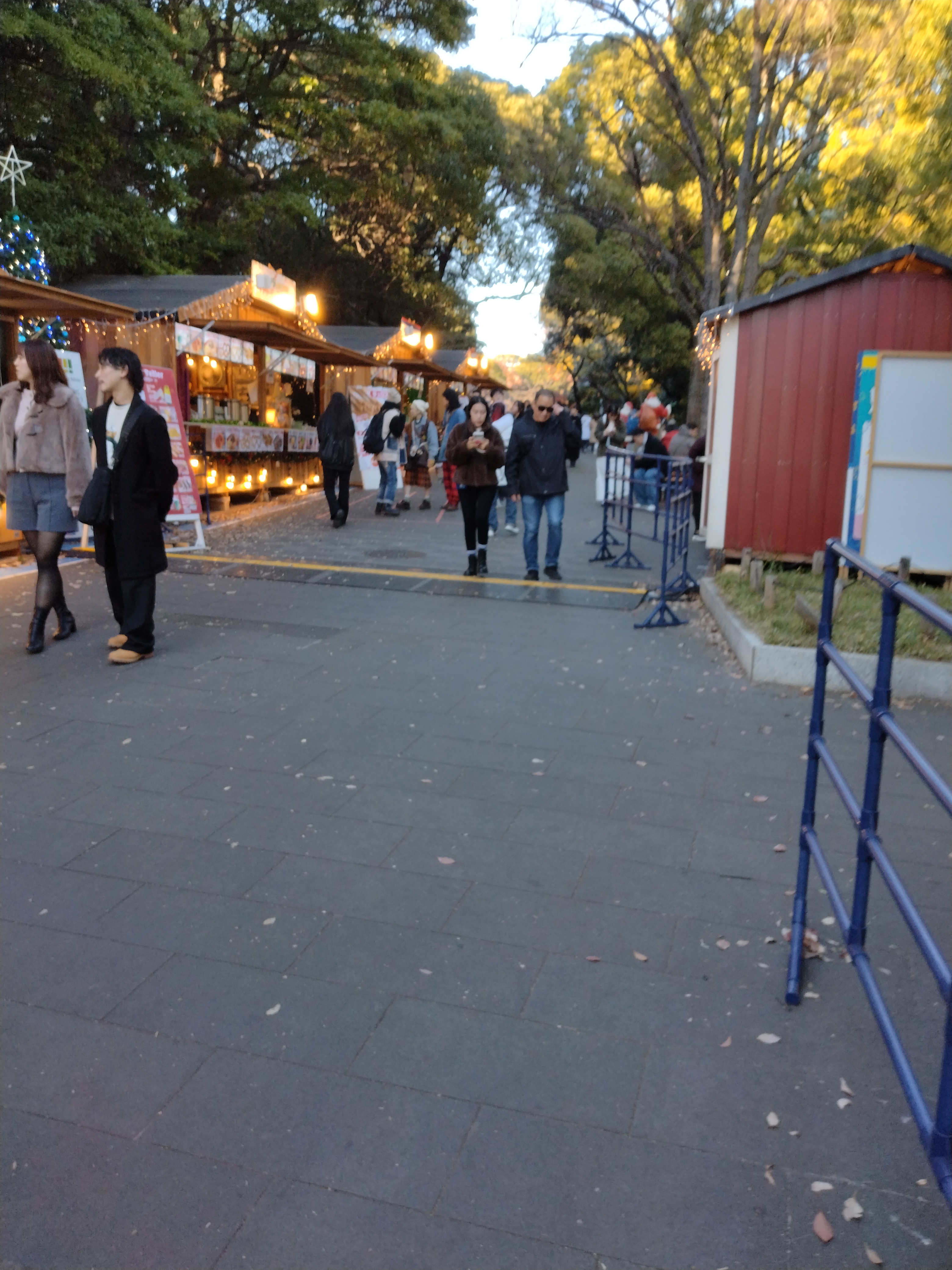 鳥居と参道が写る構図です。