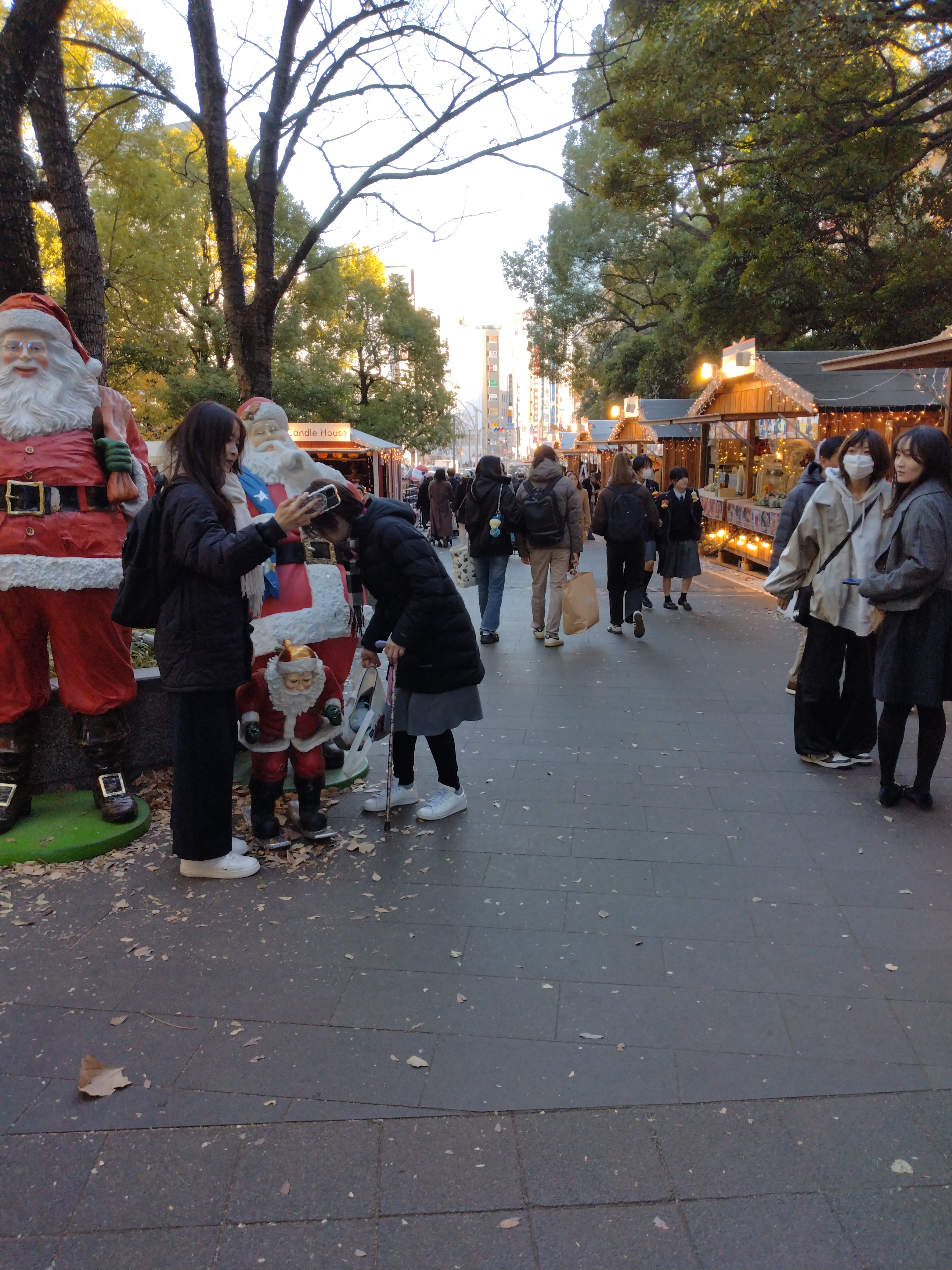 神社の広い境内が写っています。
