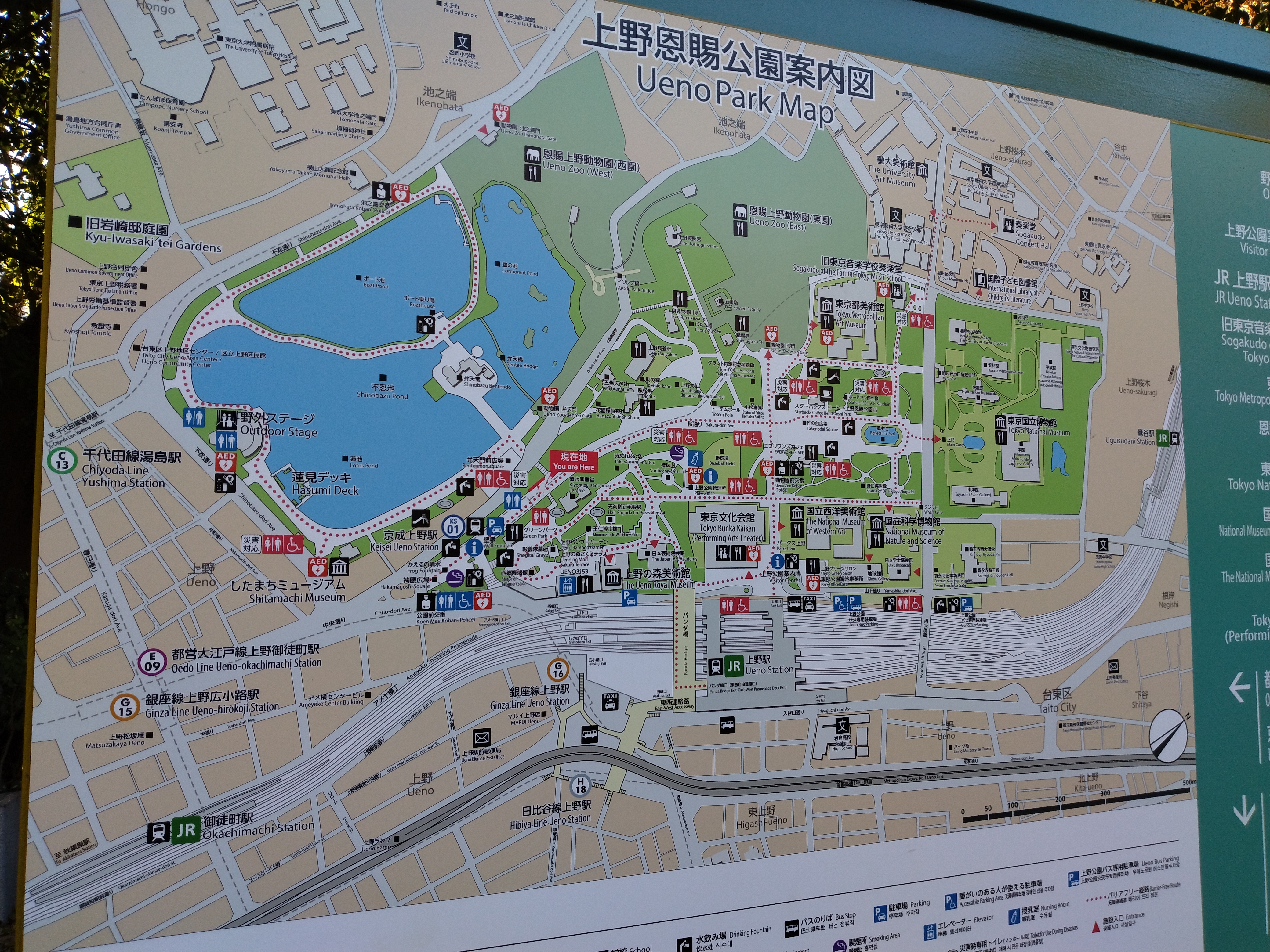 鳥居の向こうに陽光が差す構図です。