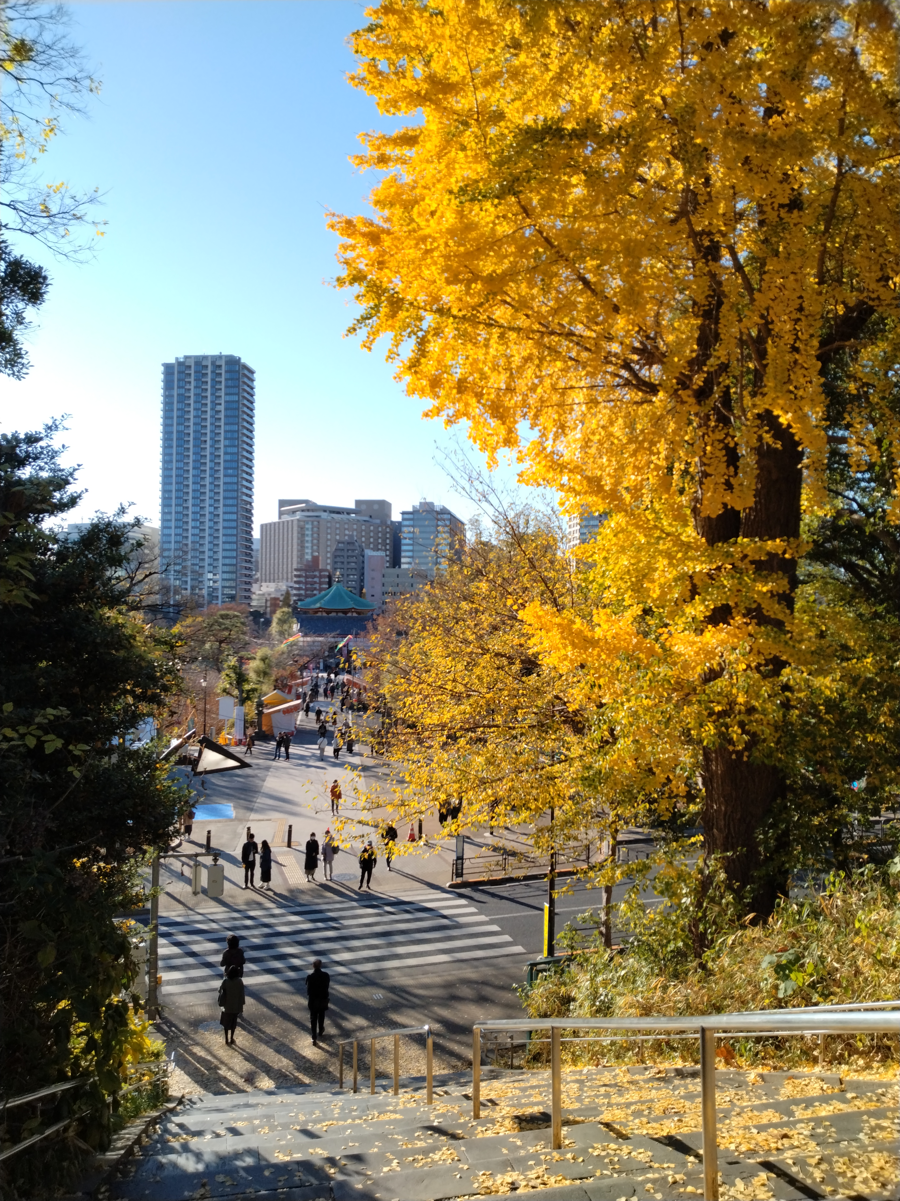 神社境内へ続く木々の道です。