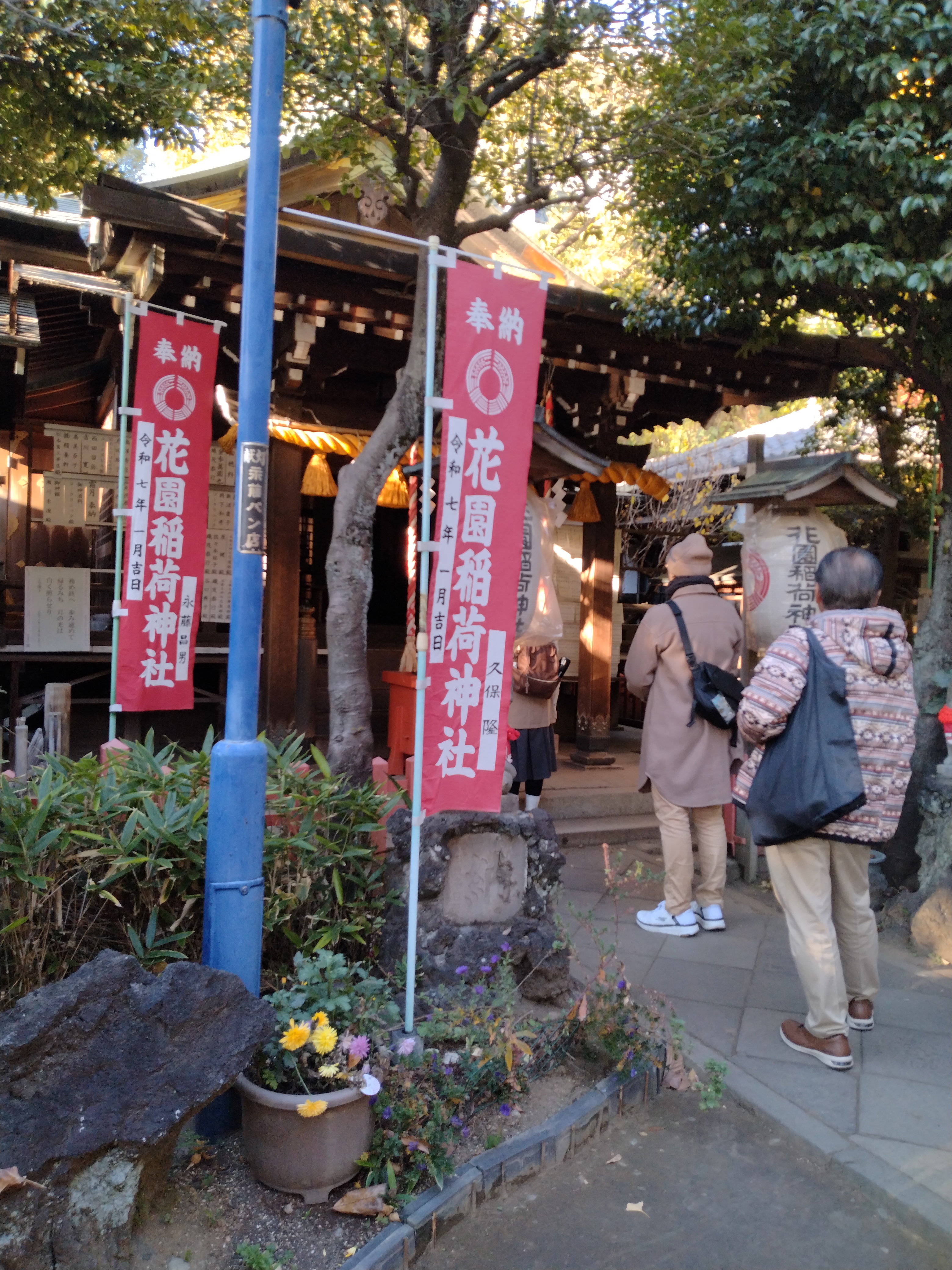 大きな木が空に向かって伸びる構図です。