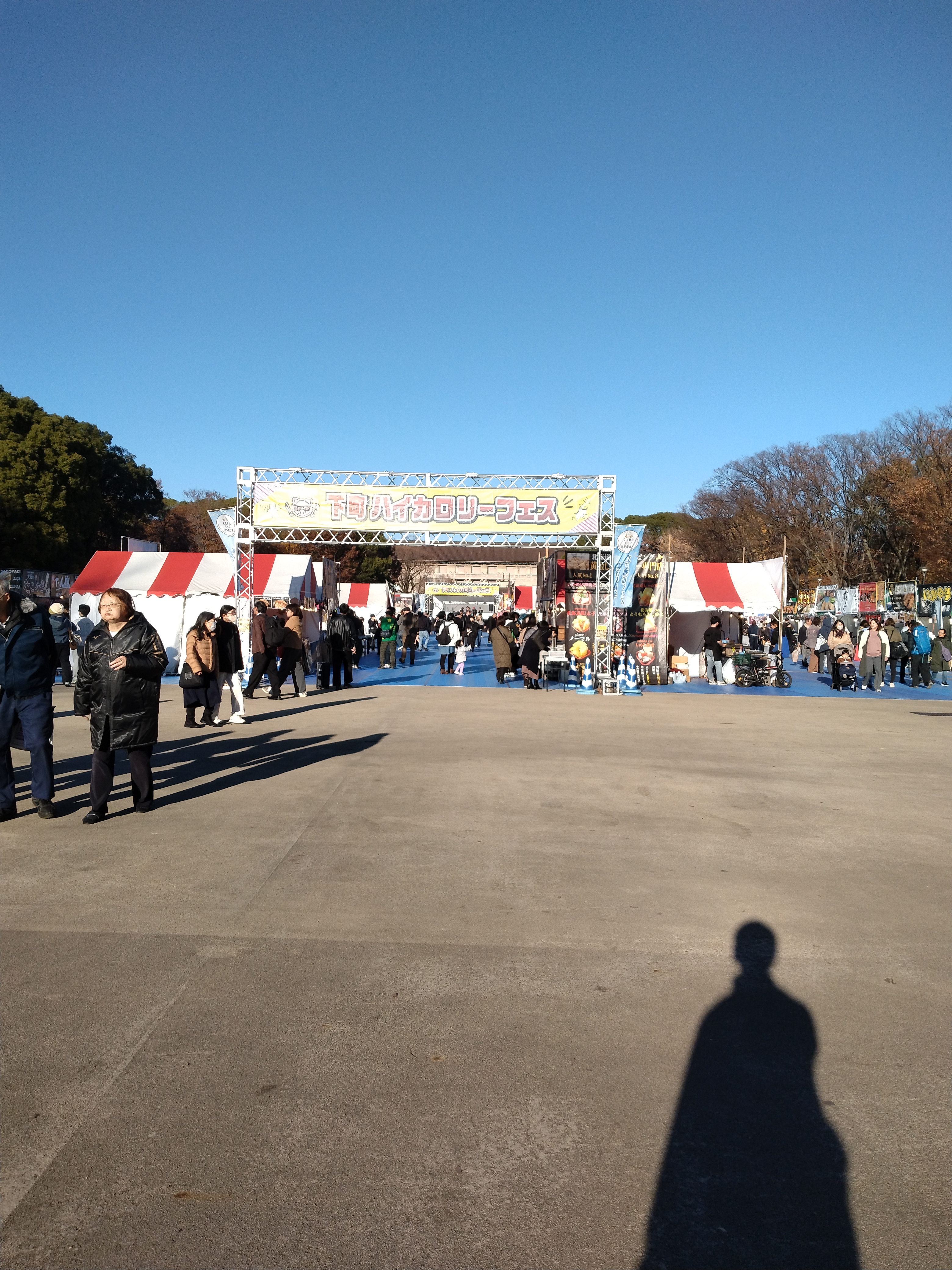 上野公園の木々に囲まれた広場が写っています。