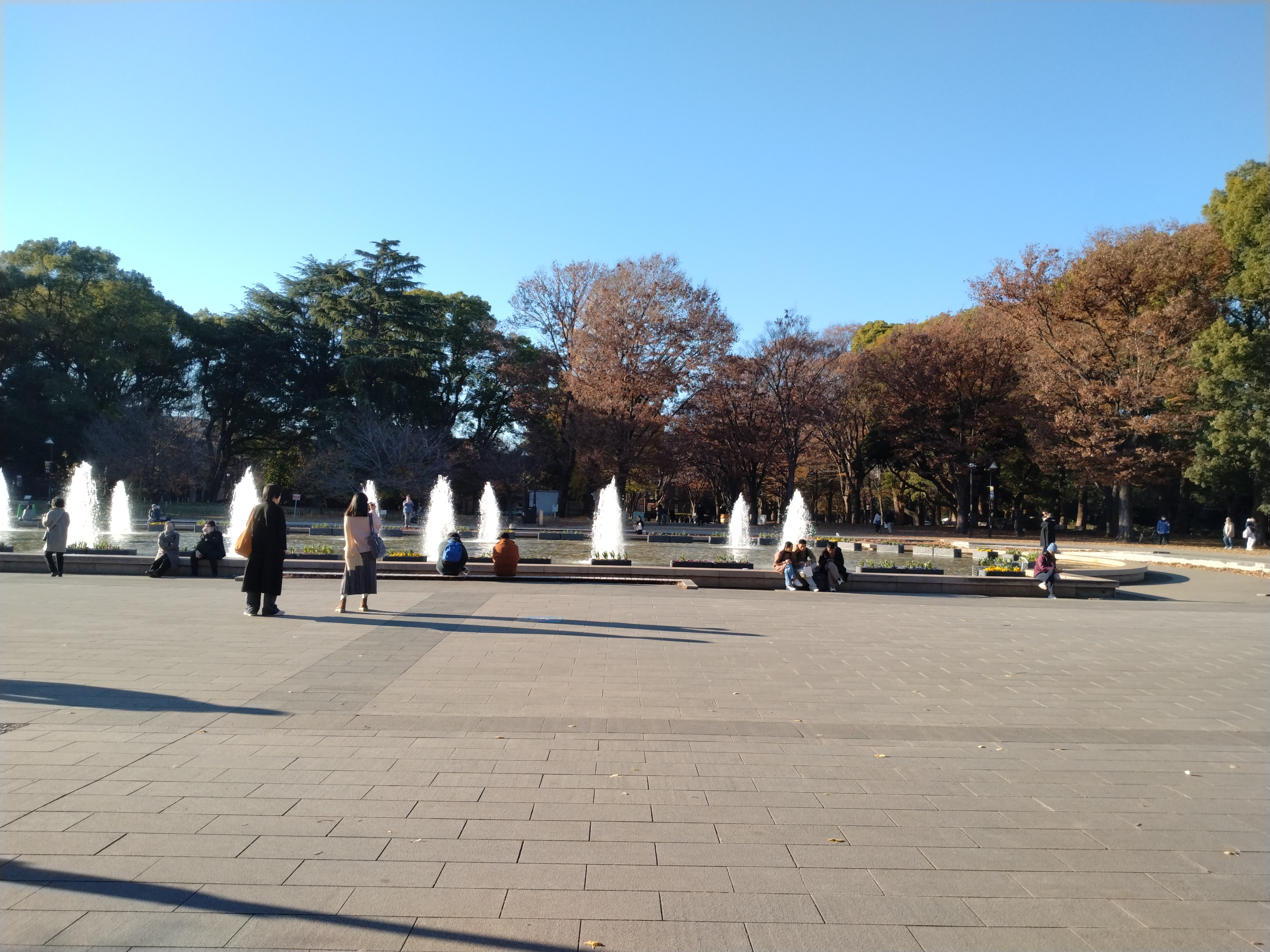 上野公園内の自然豊かな散策路です。