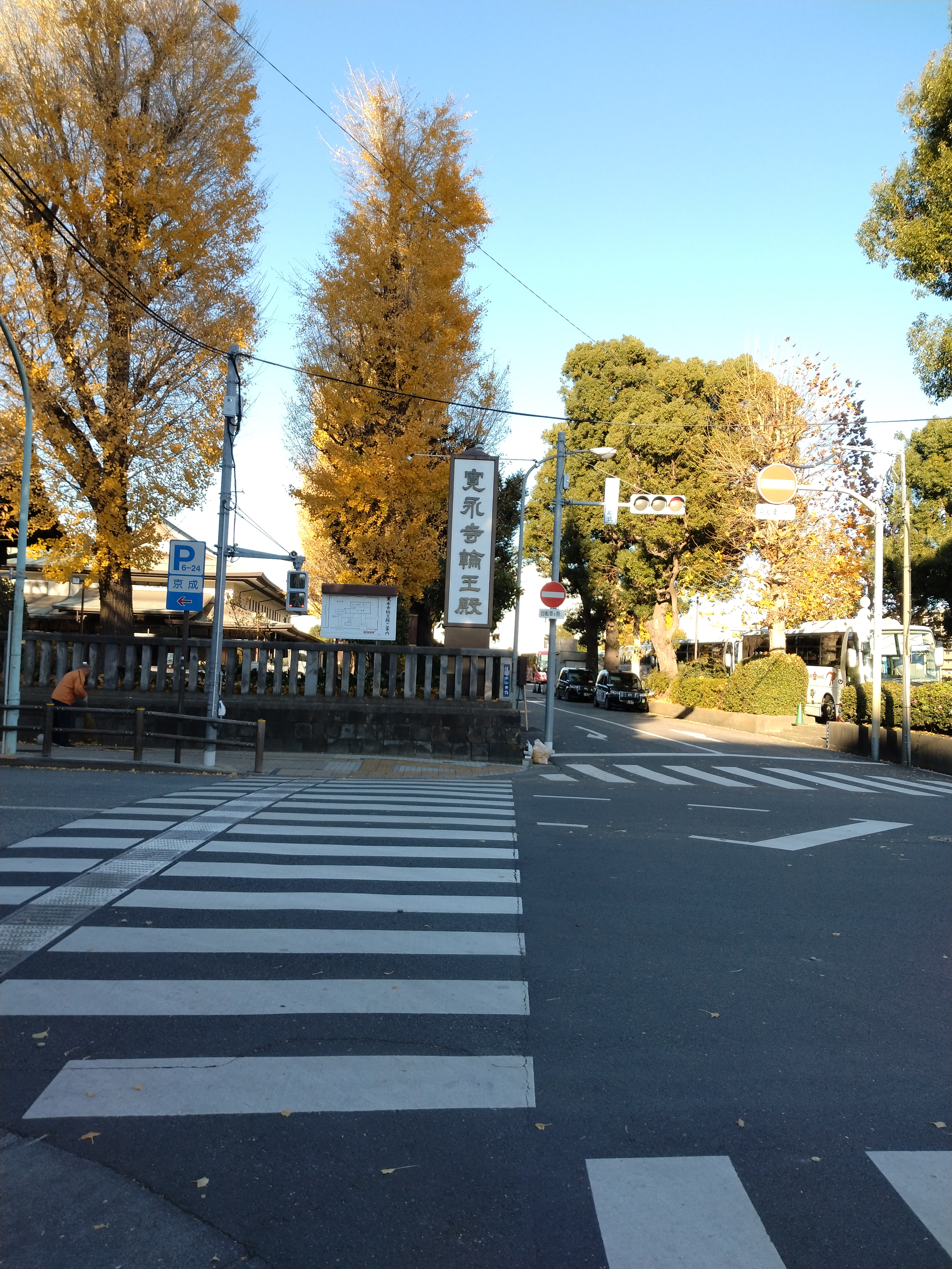 上野公園の草地と木々が色づく秋の風景です。