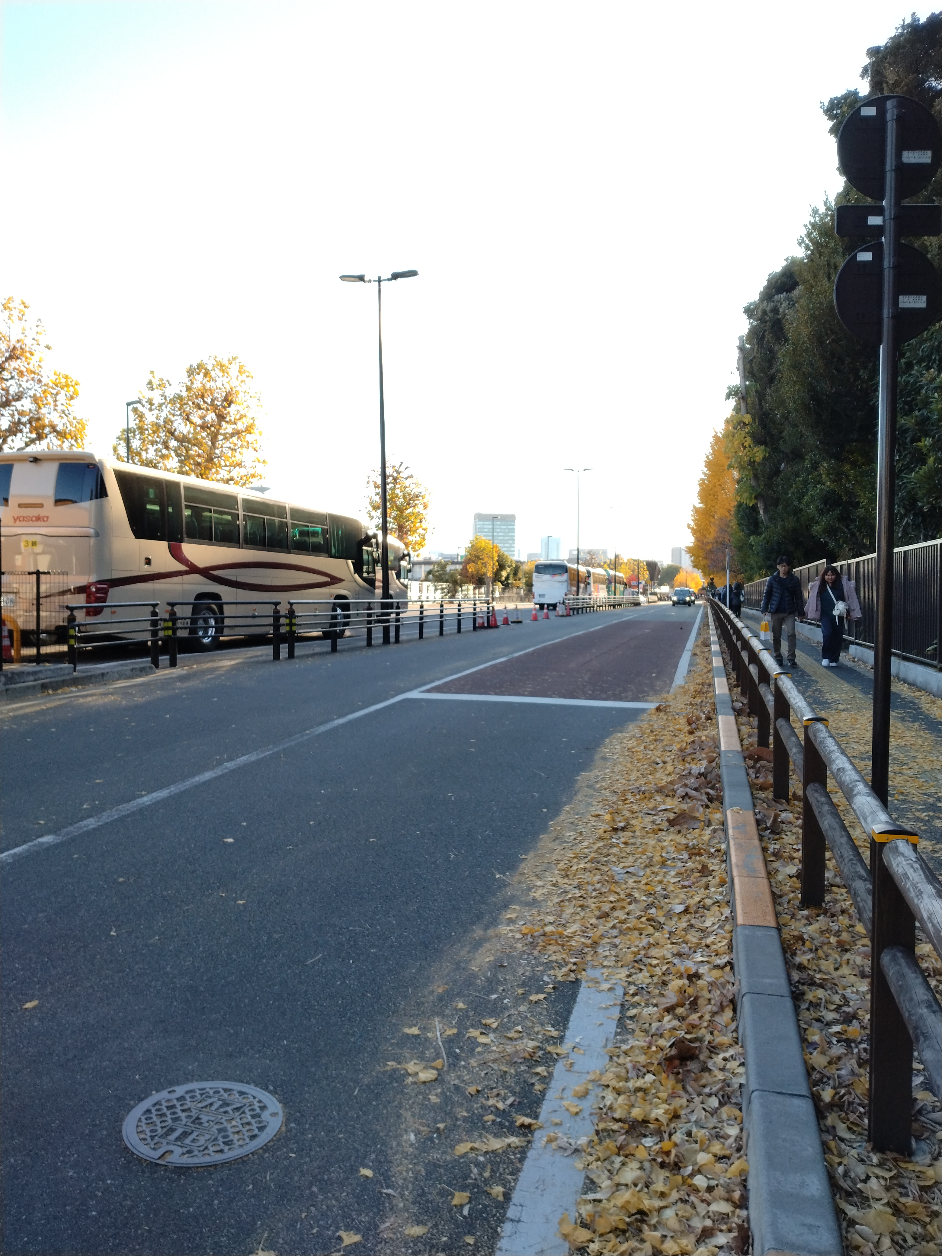 上野公園に続くまっすぐな並木道です。