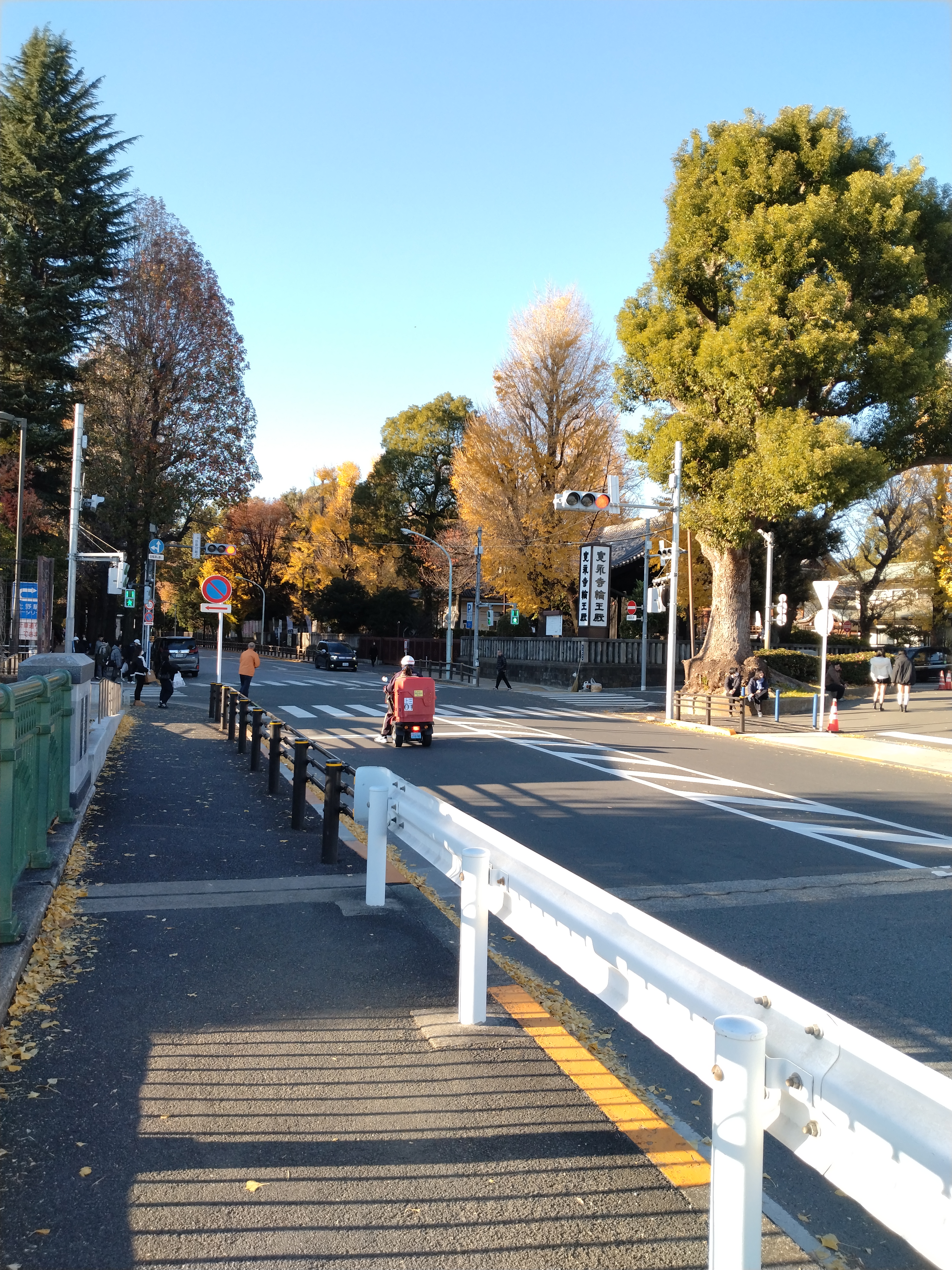 上野恩賜公園の木々から差し込む木漏れ日です。
