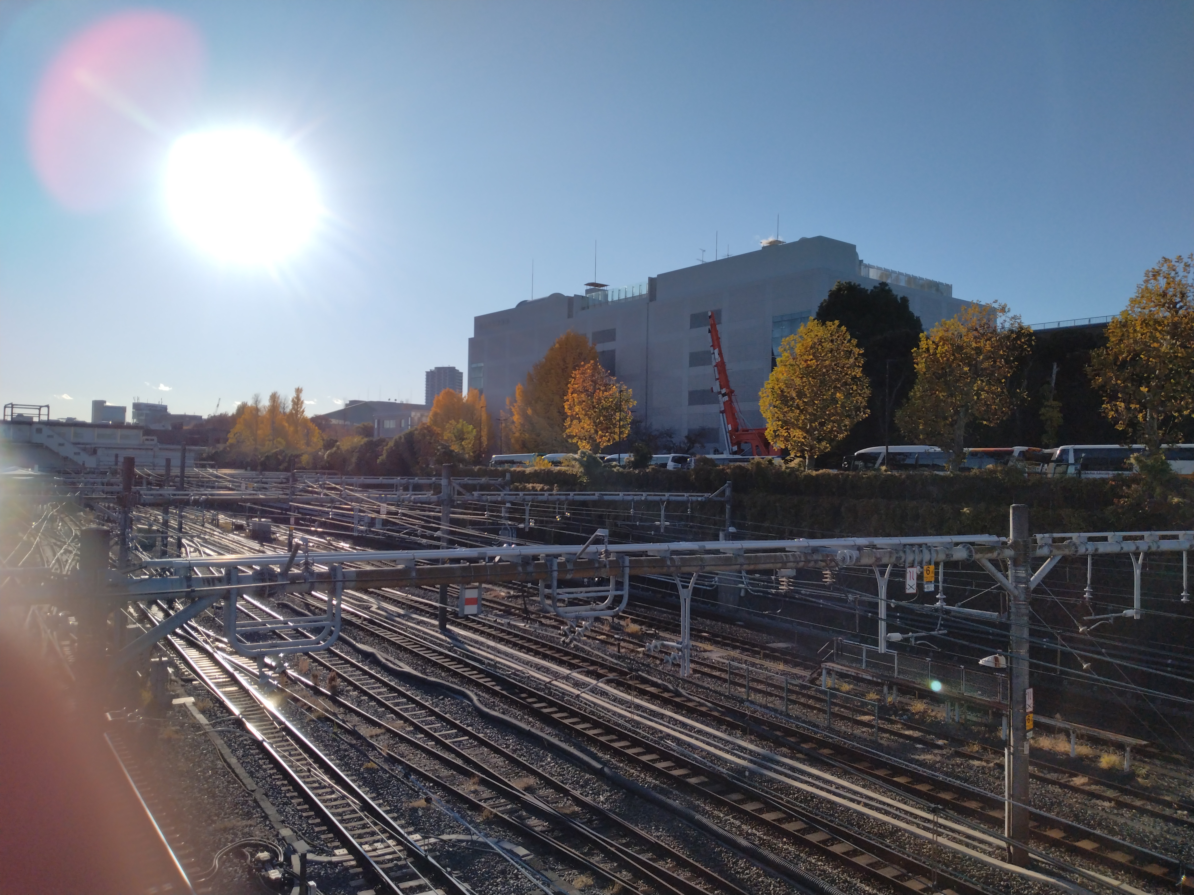 上野恩賜公園の開けた広場です。