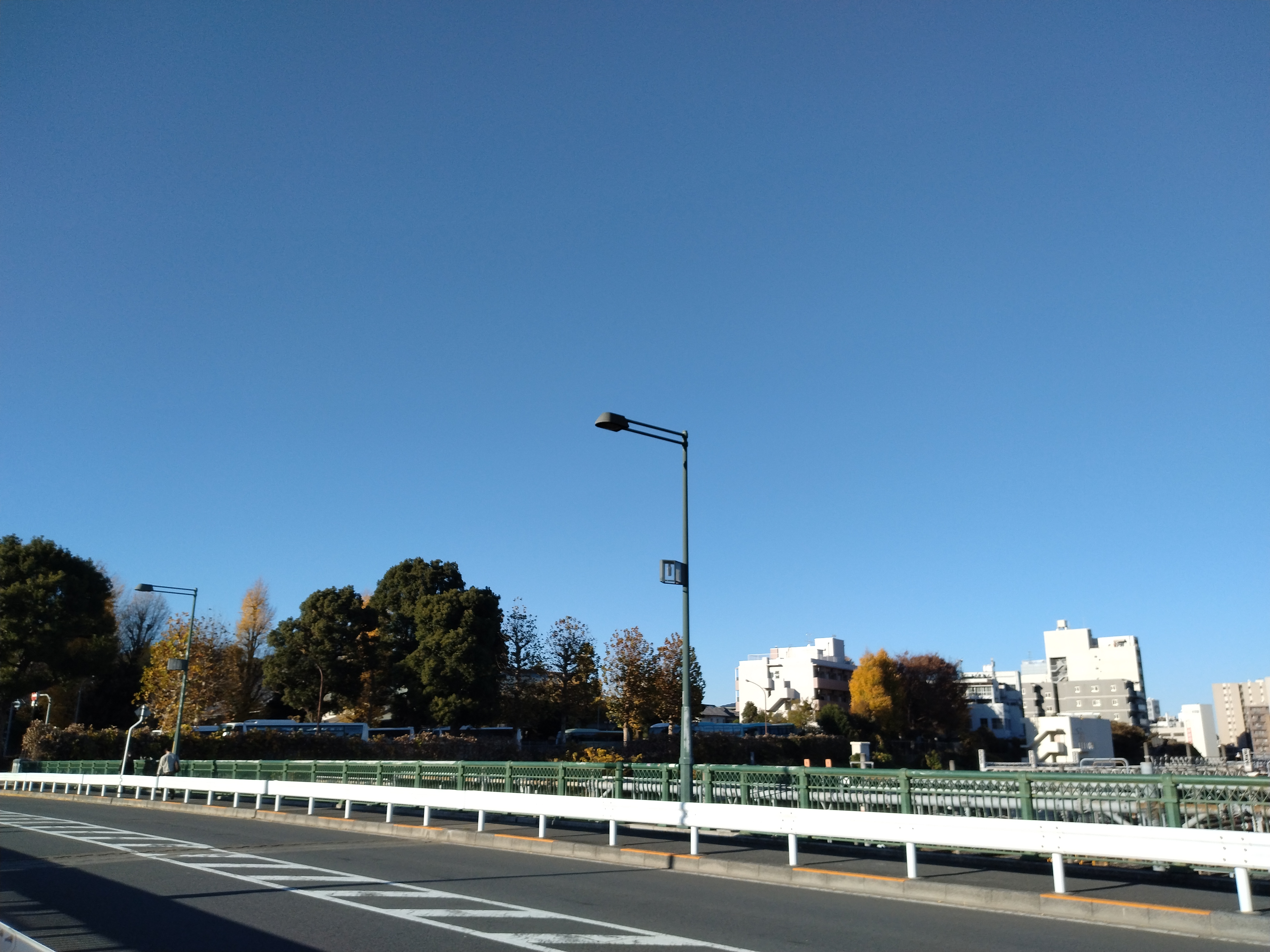 上野恩賜公園の池越しに街並みが見える風景です。