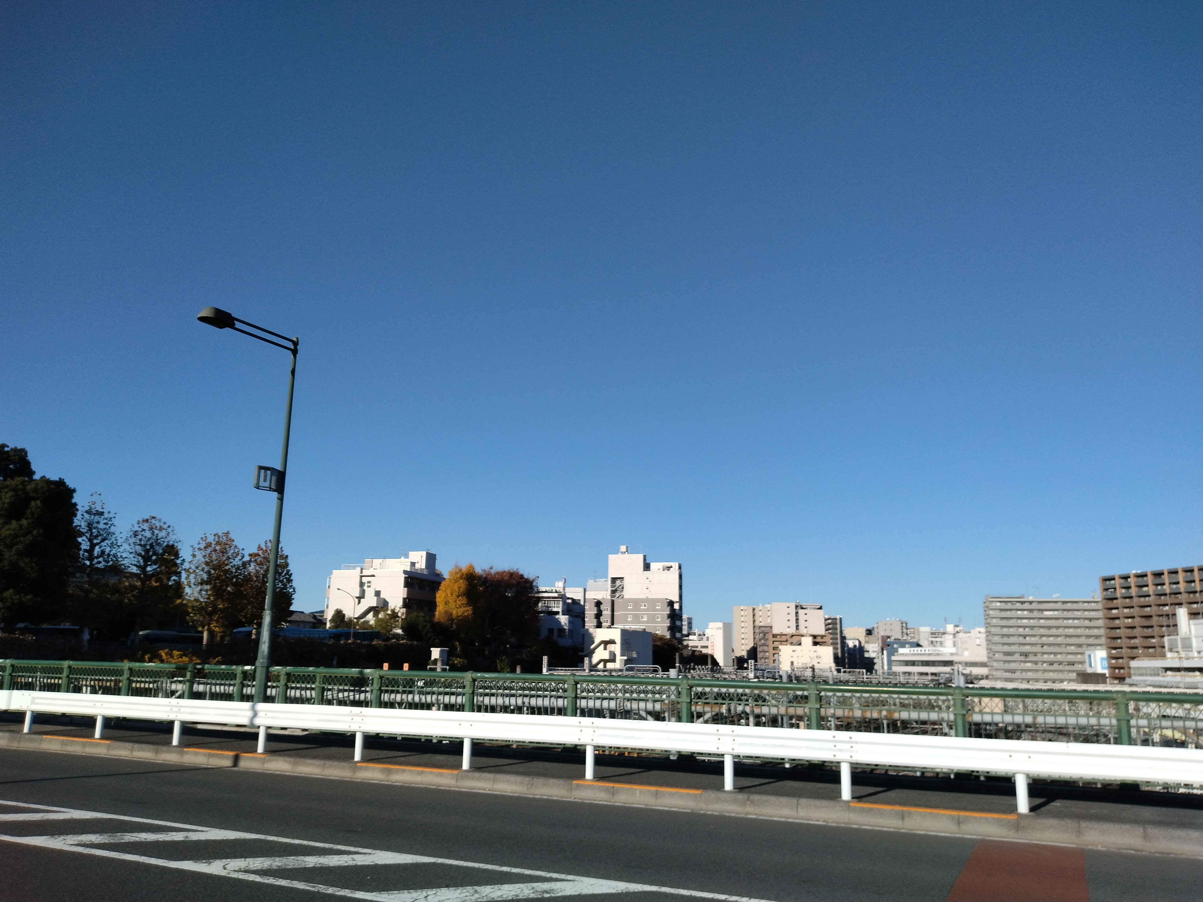 上野恩賜公園の池が白く輝く構図です。