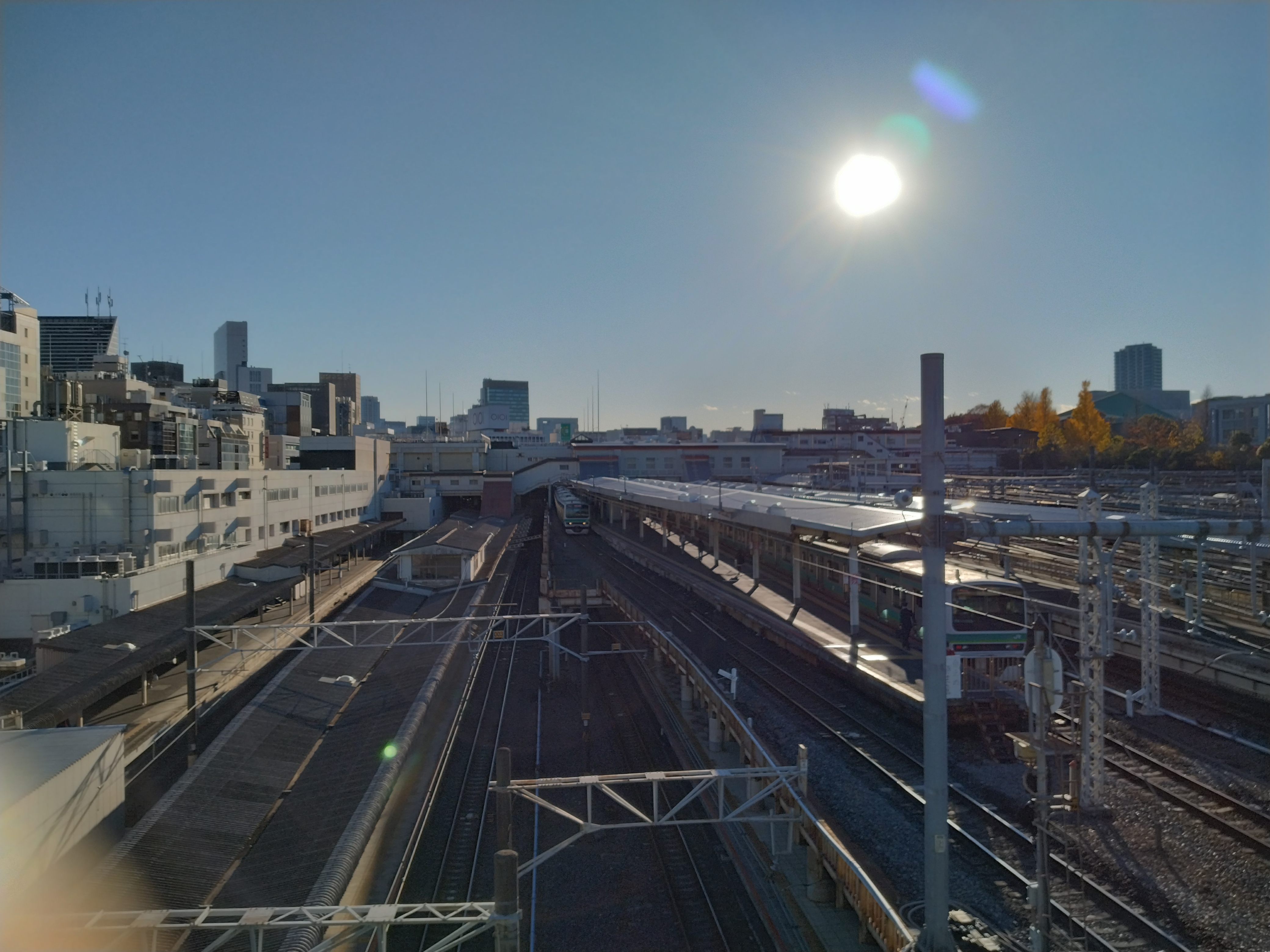 上野恩賜公園の池に青空が映る広々とした景観です。