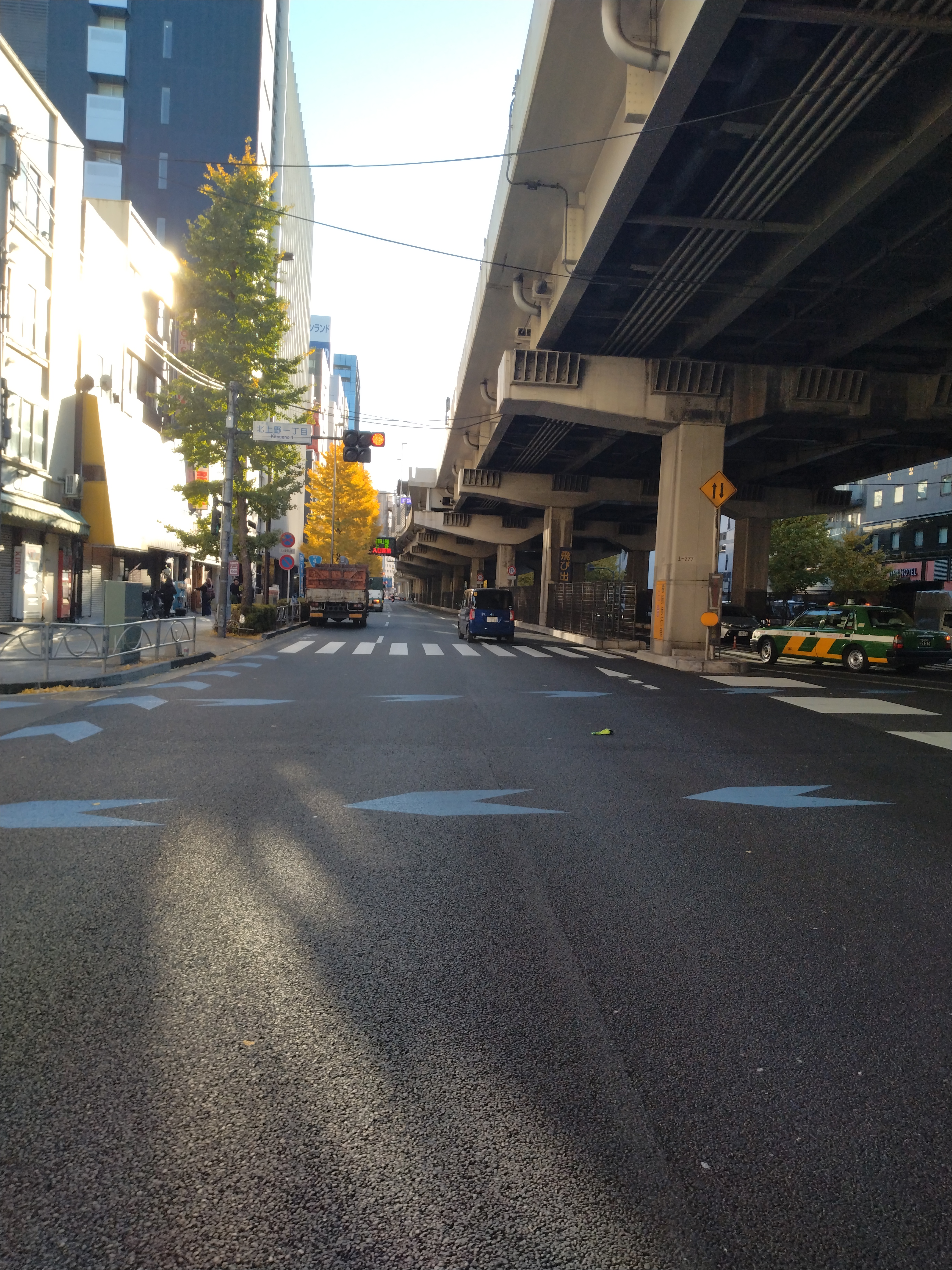 上野恩賜公園の木々と草地が広がる自然豊かな場所です。