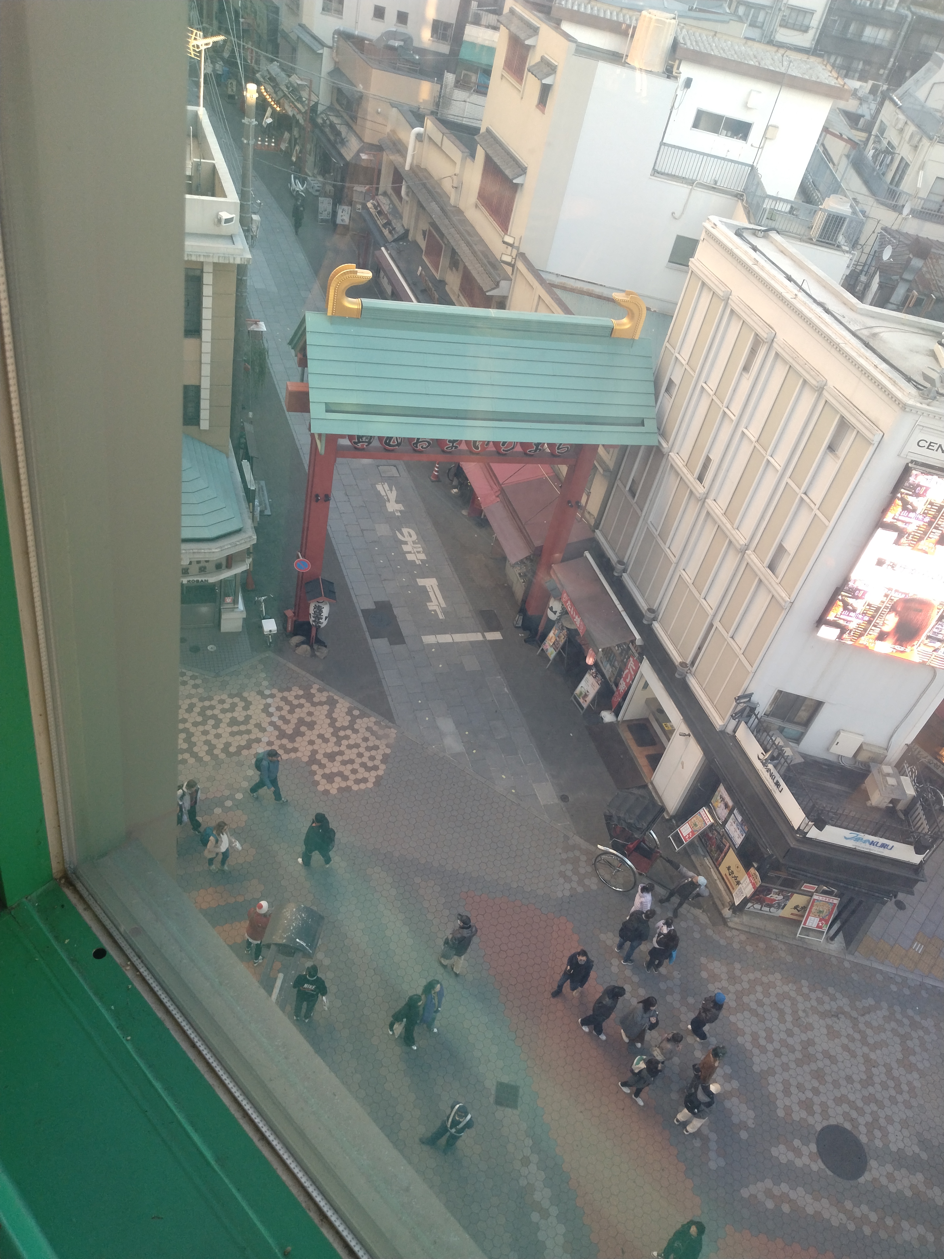 浅草エリアの公園通りに並ぶ街路樹です。