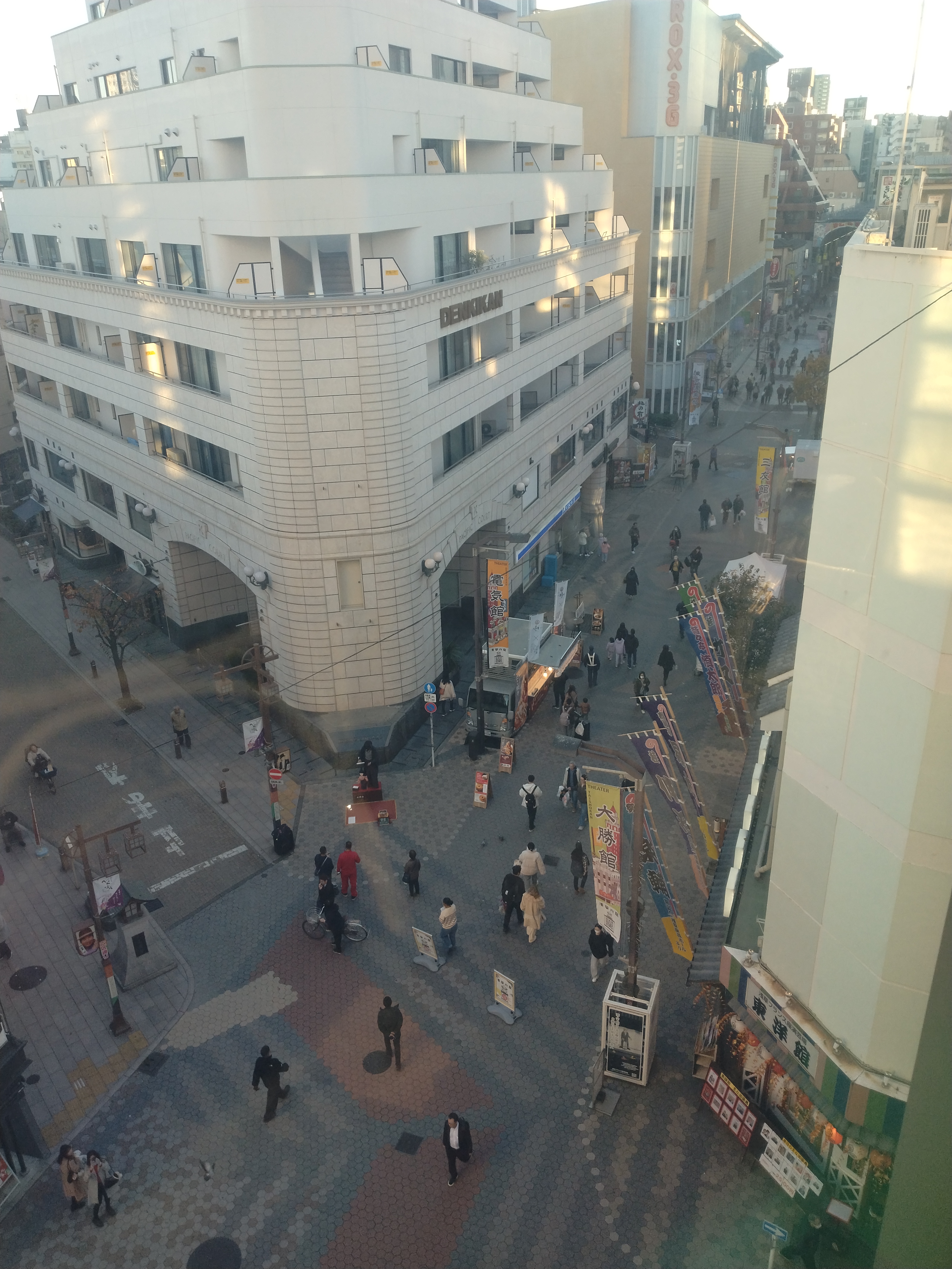 浅草公園通りの歩道に並ぶ木々が写っています。