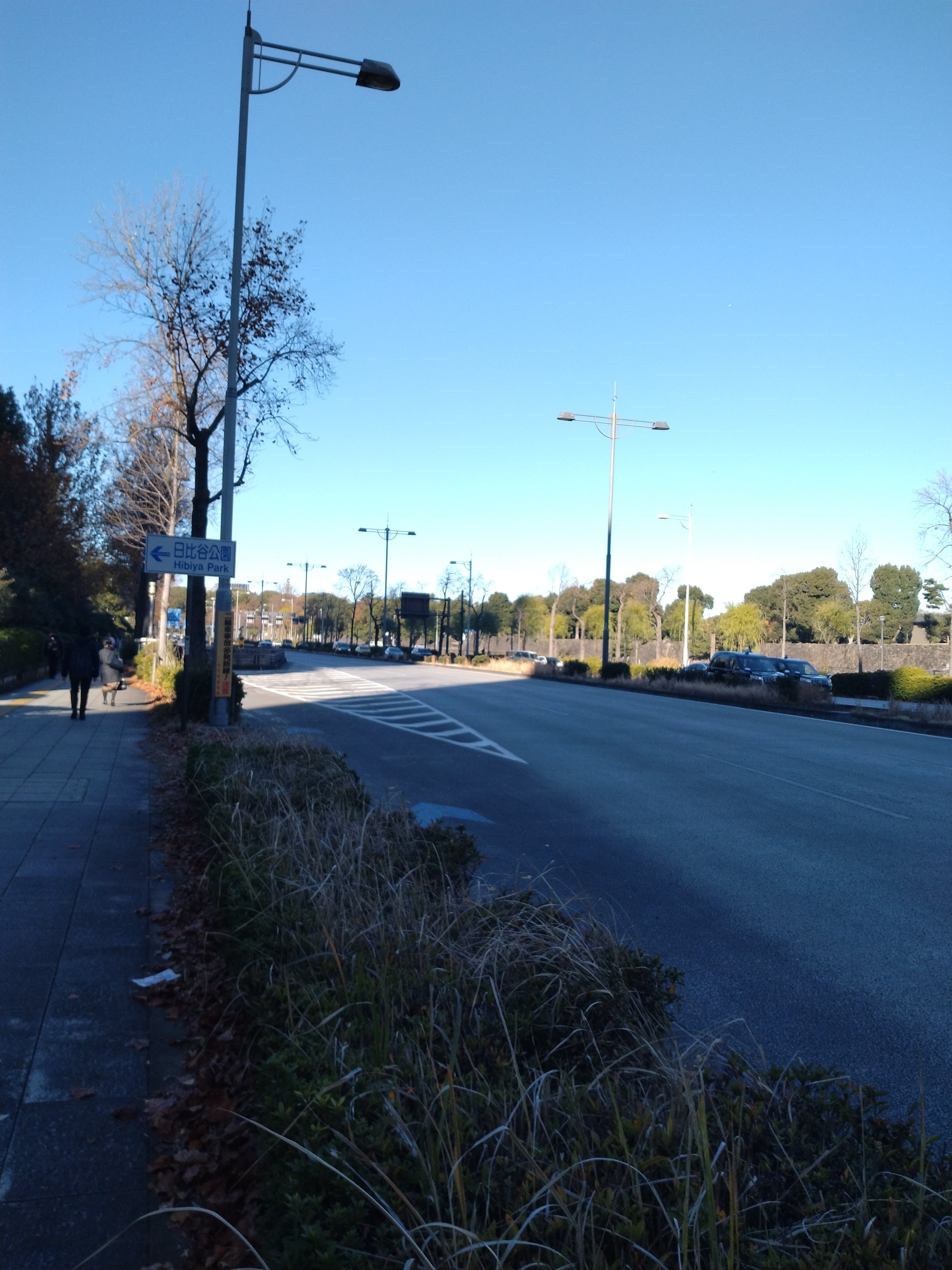 水面と冬の木立が広がる穏やかな景観です。