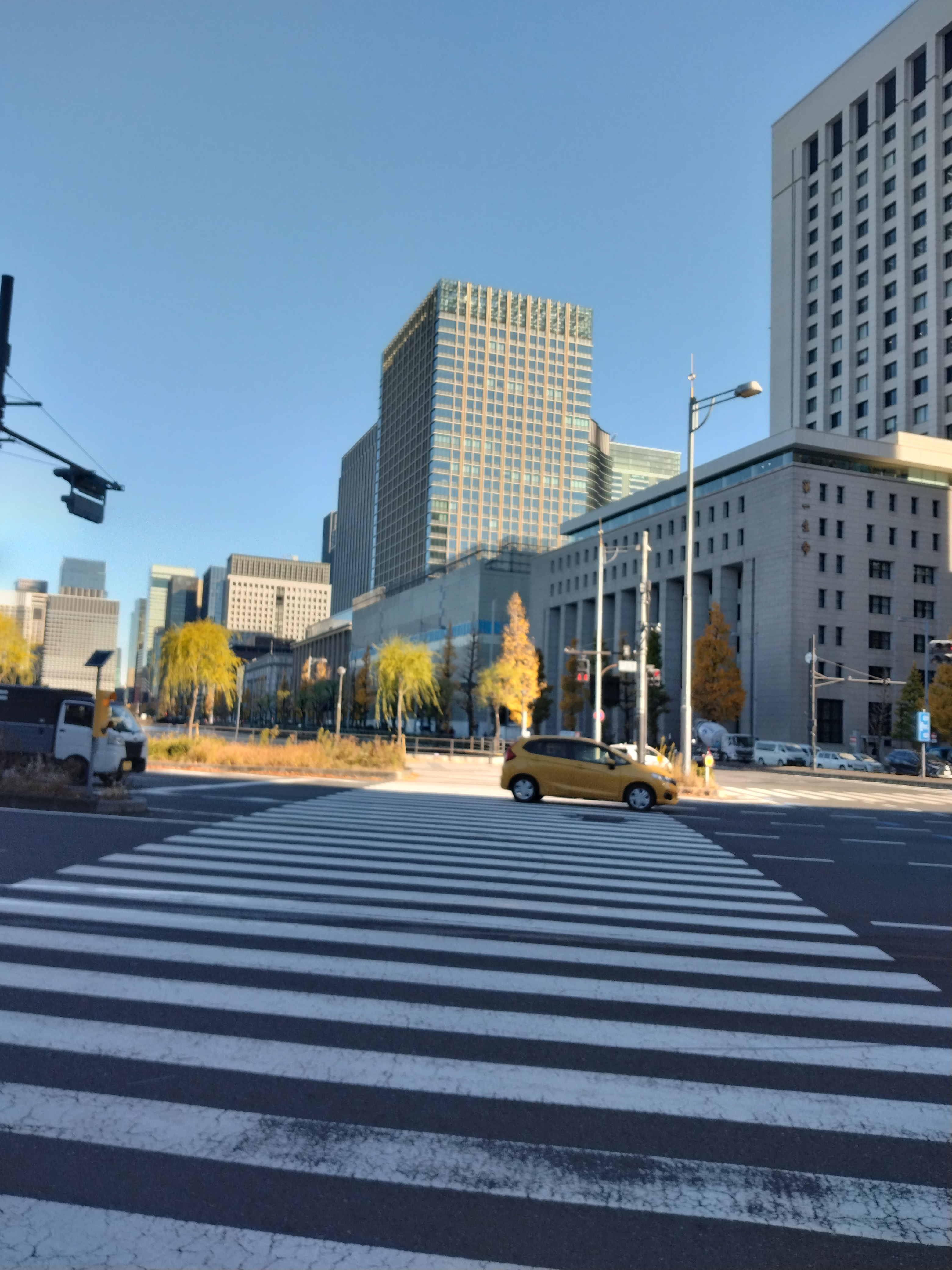 信号機と車道が写っています。