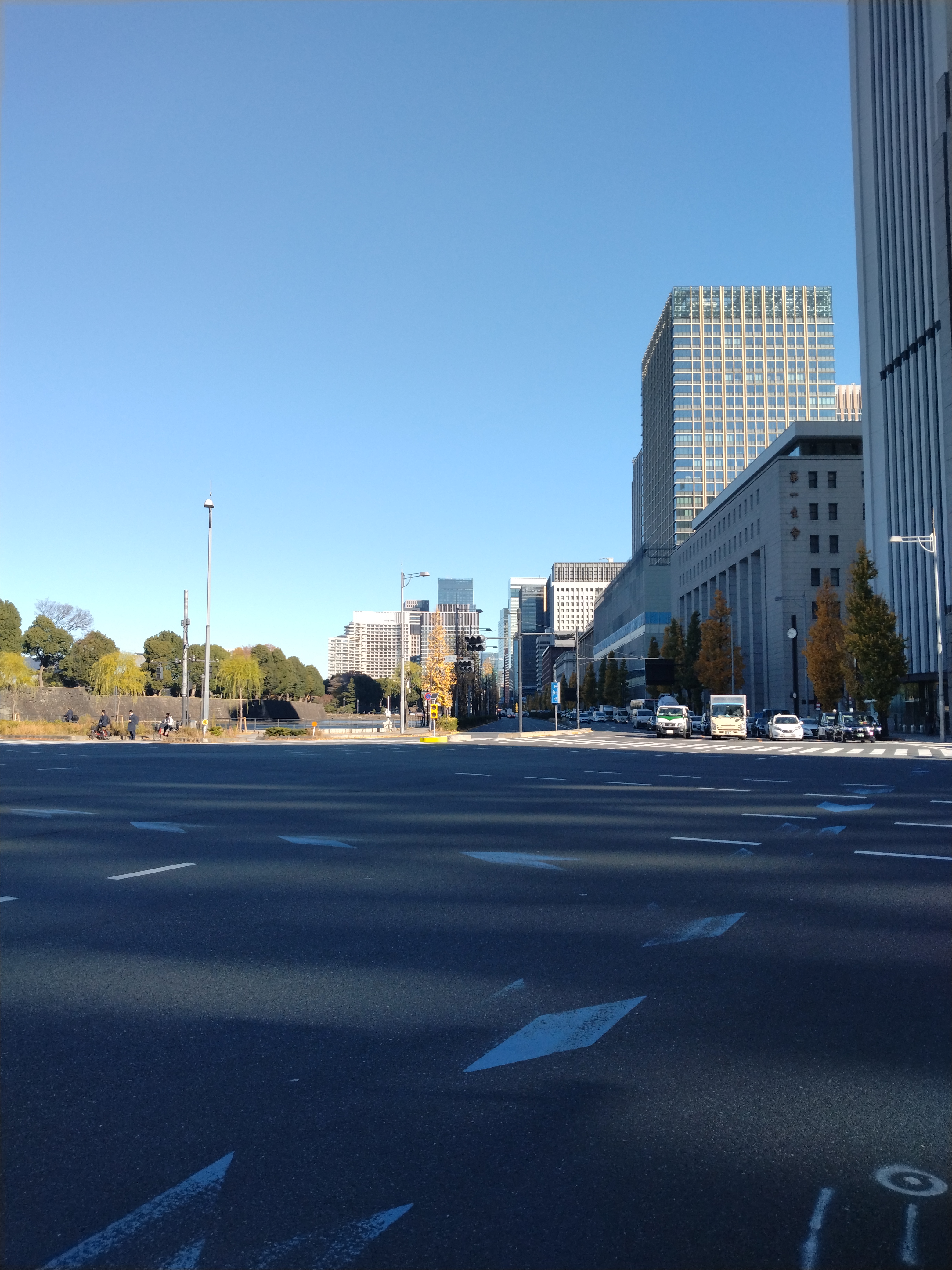 並木と歩道が整然と整備されたエリアです。