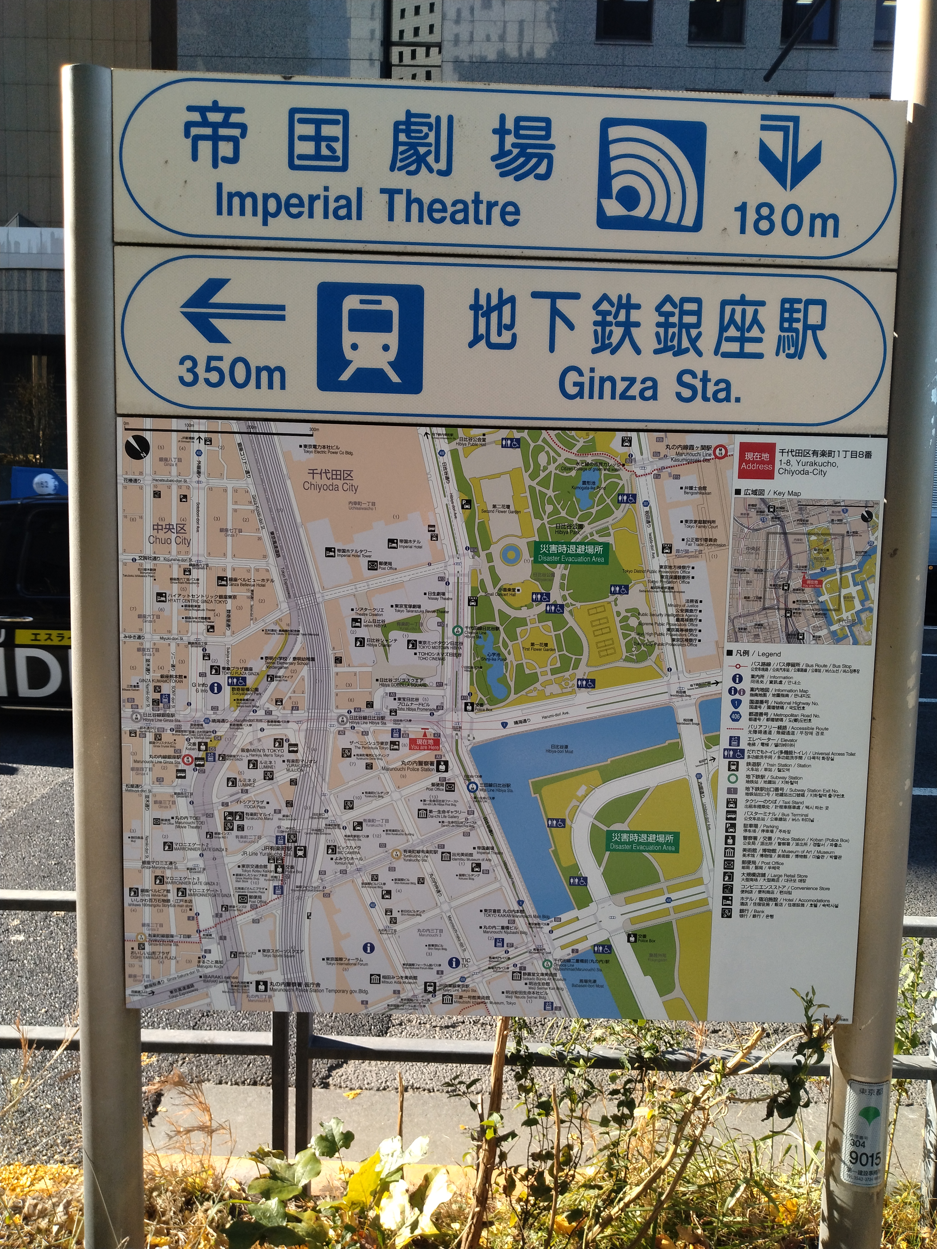 黄葉した並木沿いの歩道と広場が写っています。