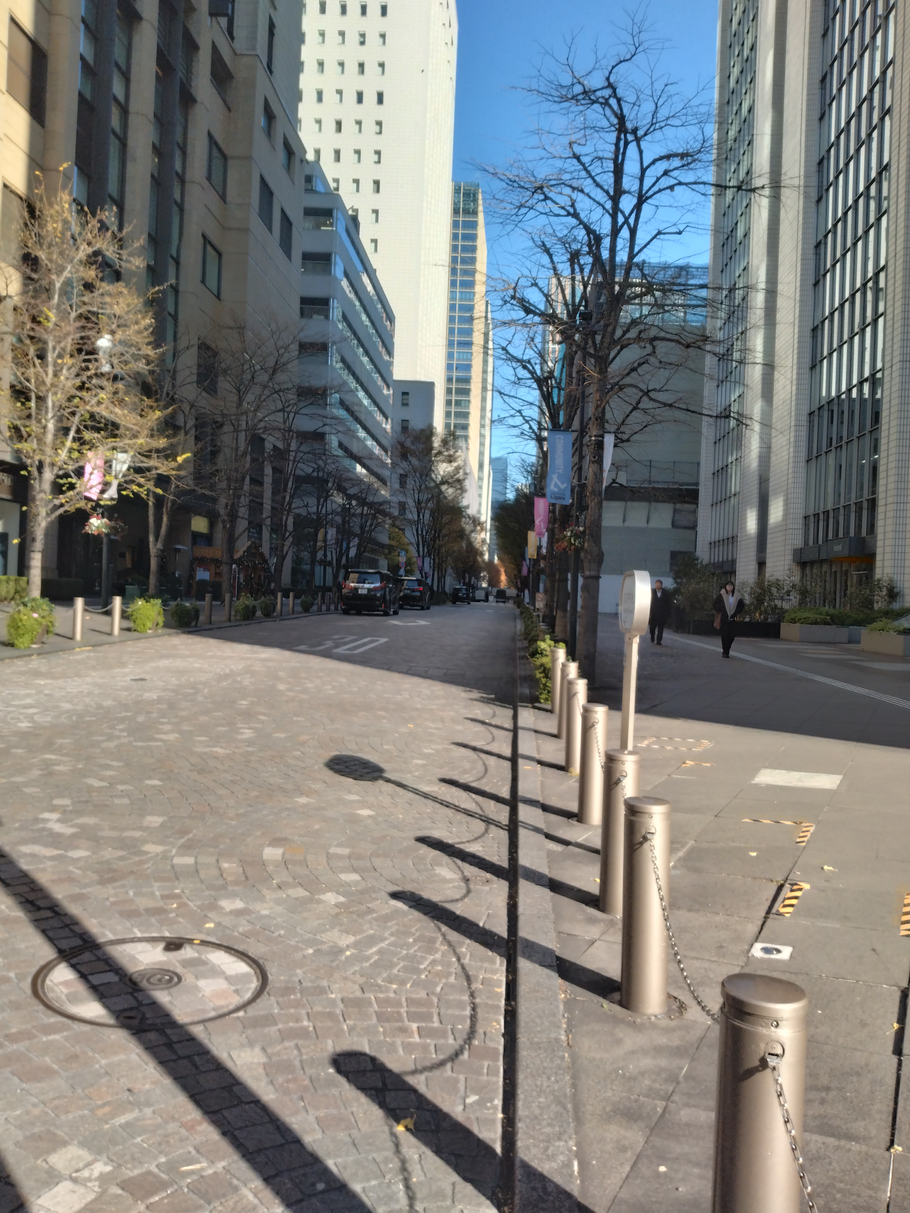 広場に隣接した歩道が写っています。