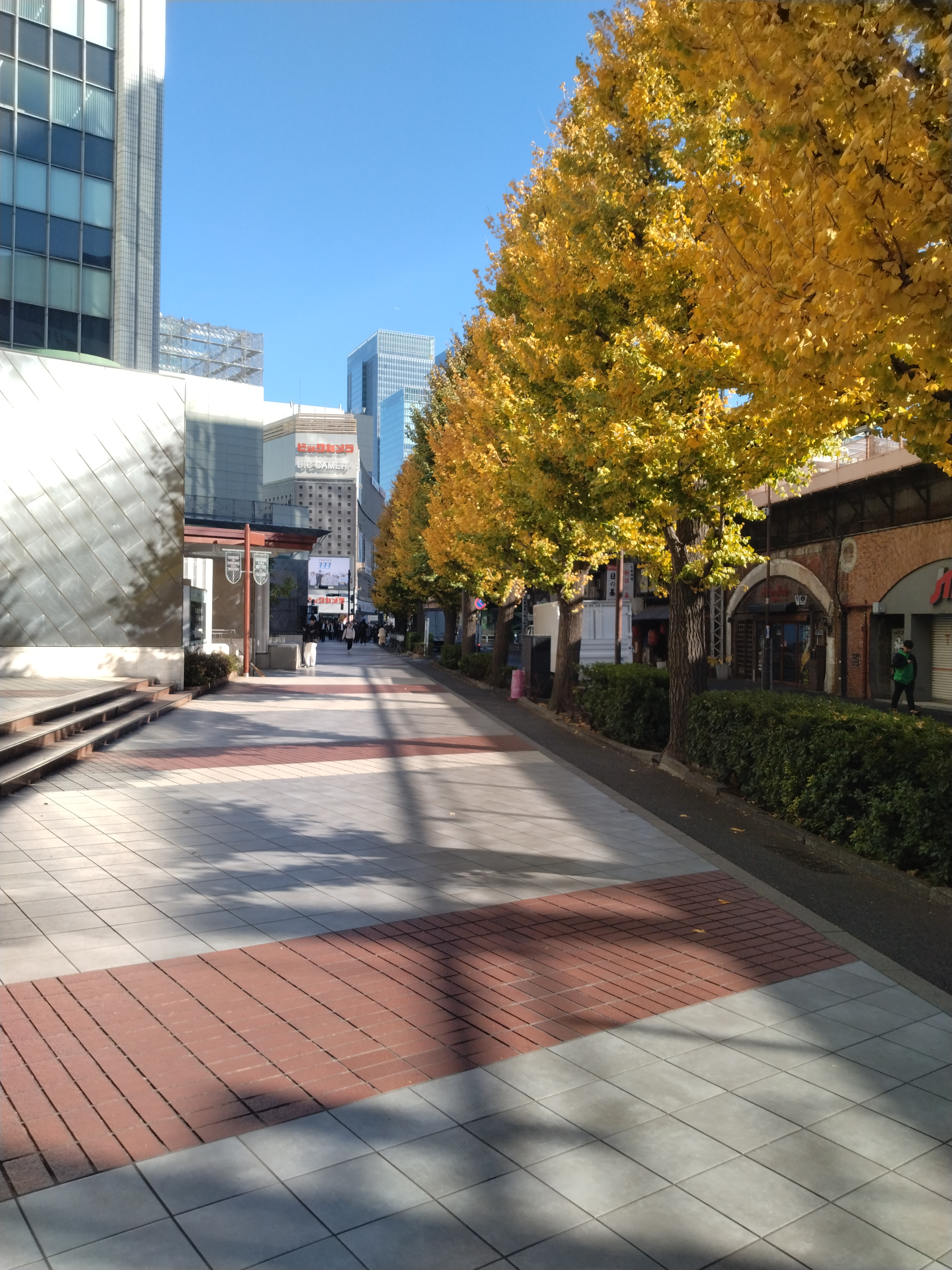 複数車線と横断歩道が続く都市景観です。