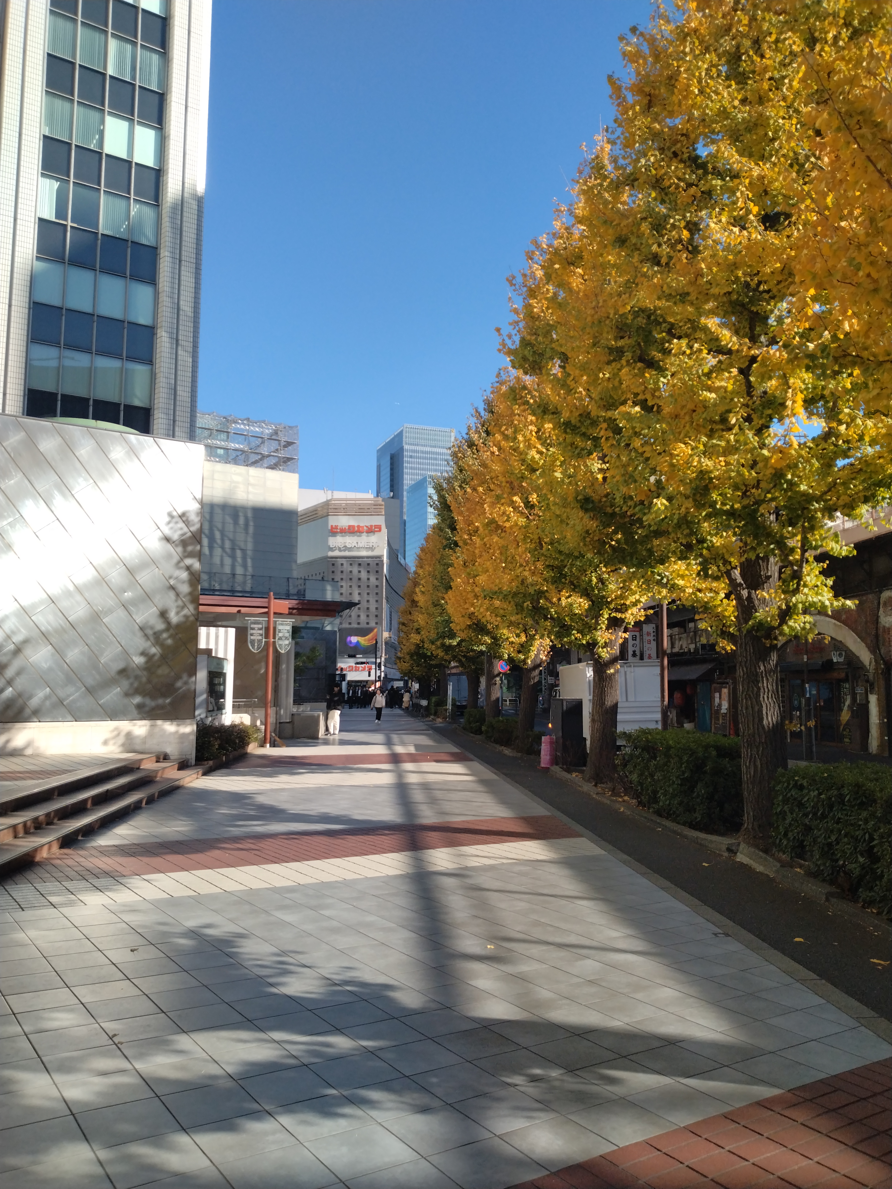 整備された並木が続く歩道です。